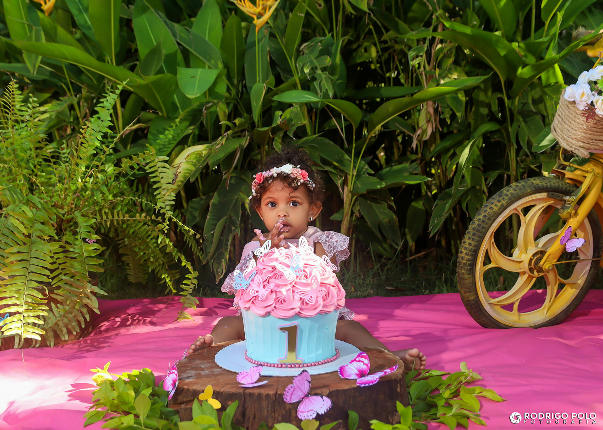 Foto Smash The Cake Ana Clara Foto Smash The Cake Ana Clara - Imagem 12