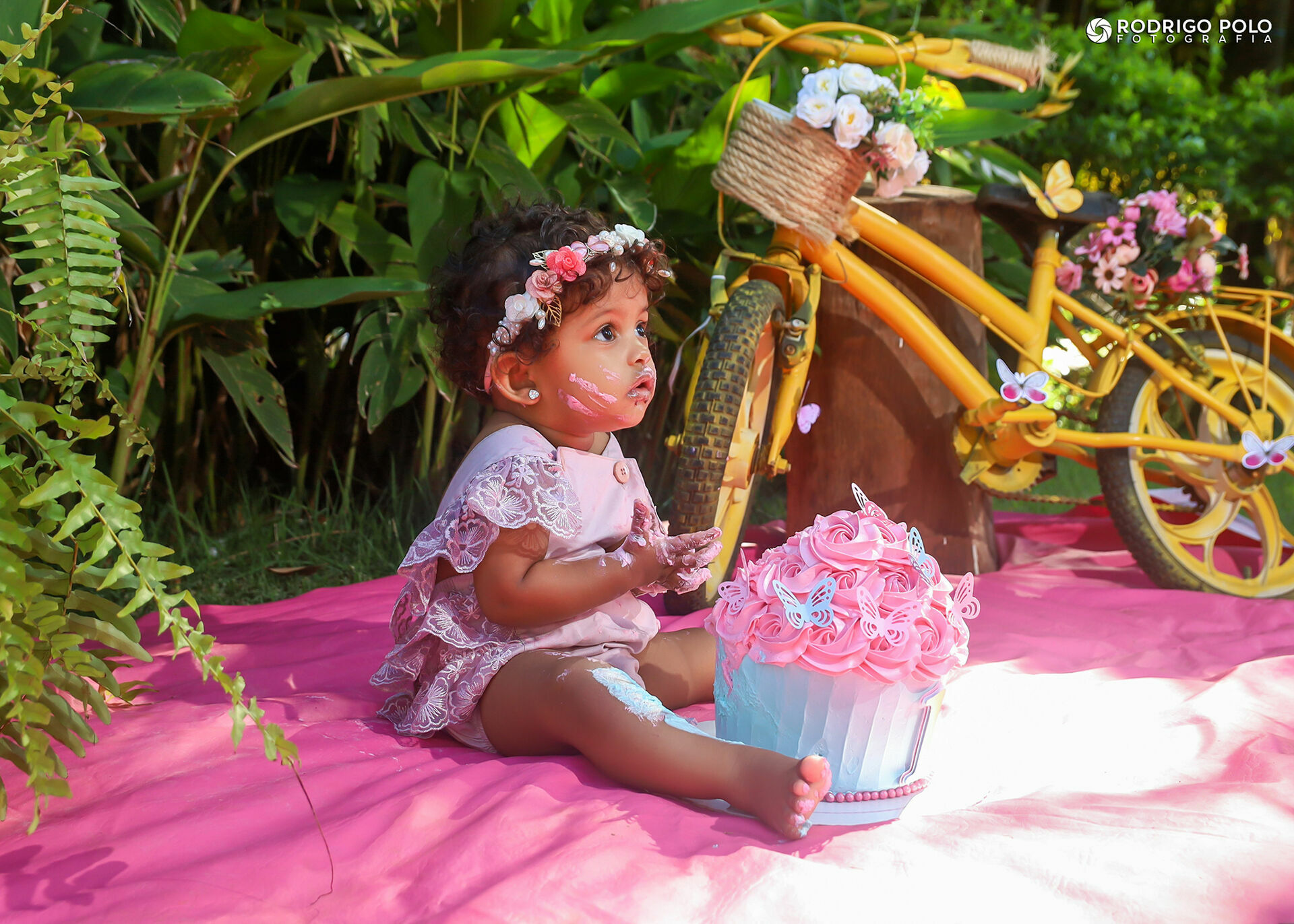 Foto Smash The Cake Ana Clara Foto Smash The Cake Ana Clara - Imagem 18