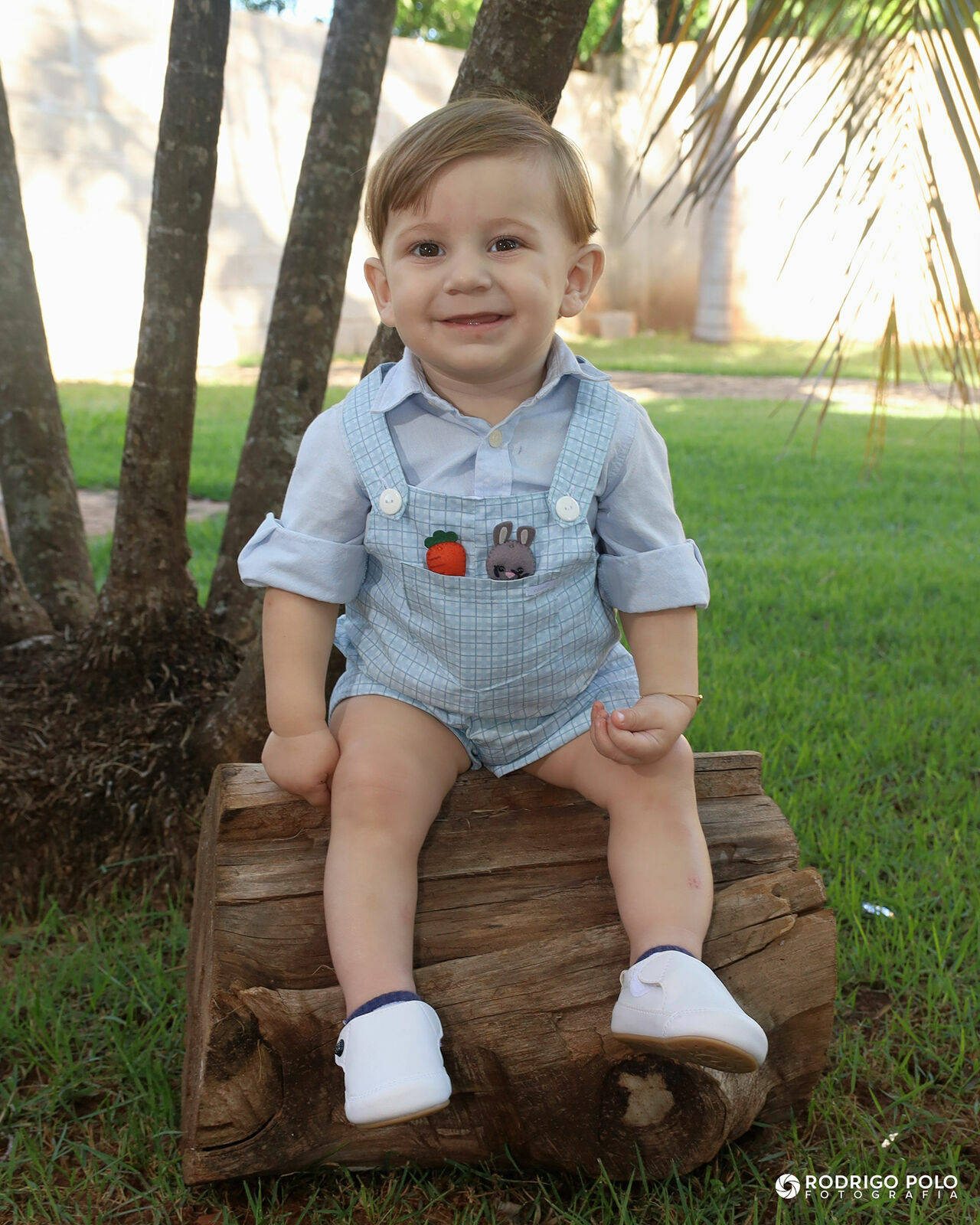 Foto Aniversário Henri Augusto - 1 Aninho - Imagem 2