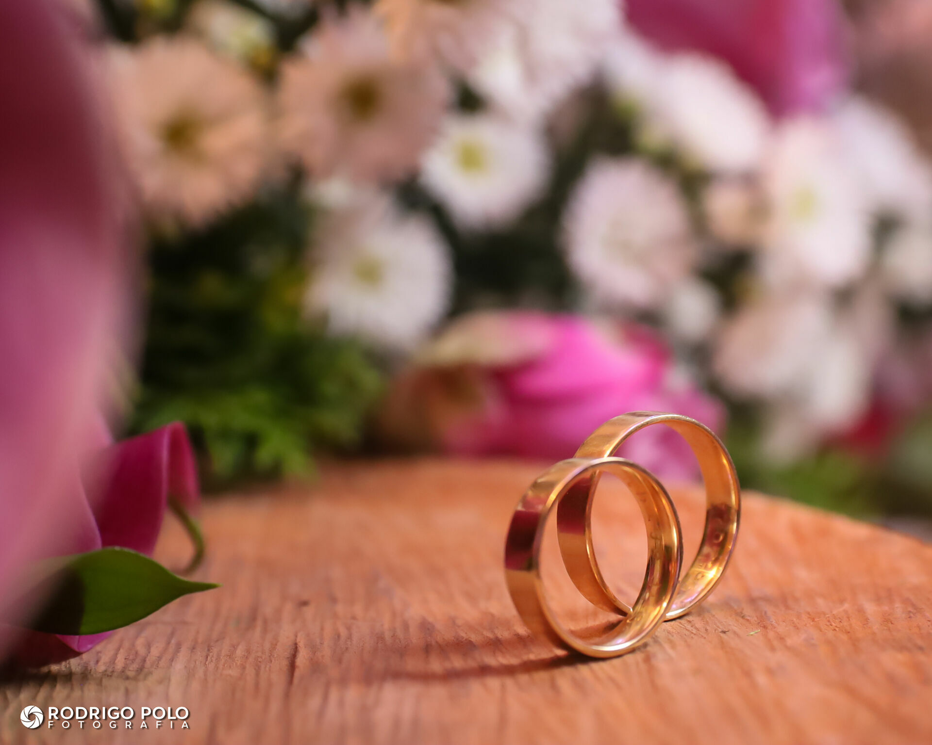 Foto Casamento Lenise e Dhanithago - Imagem 39