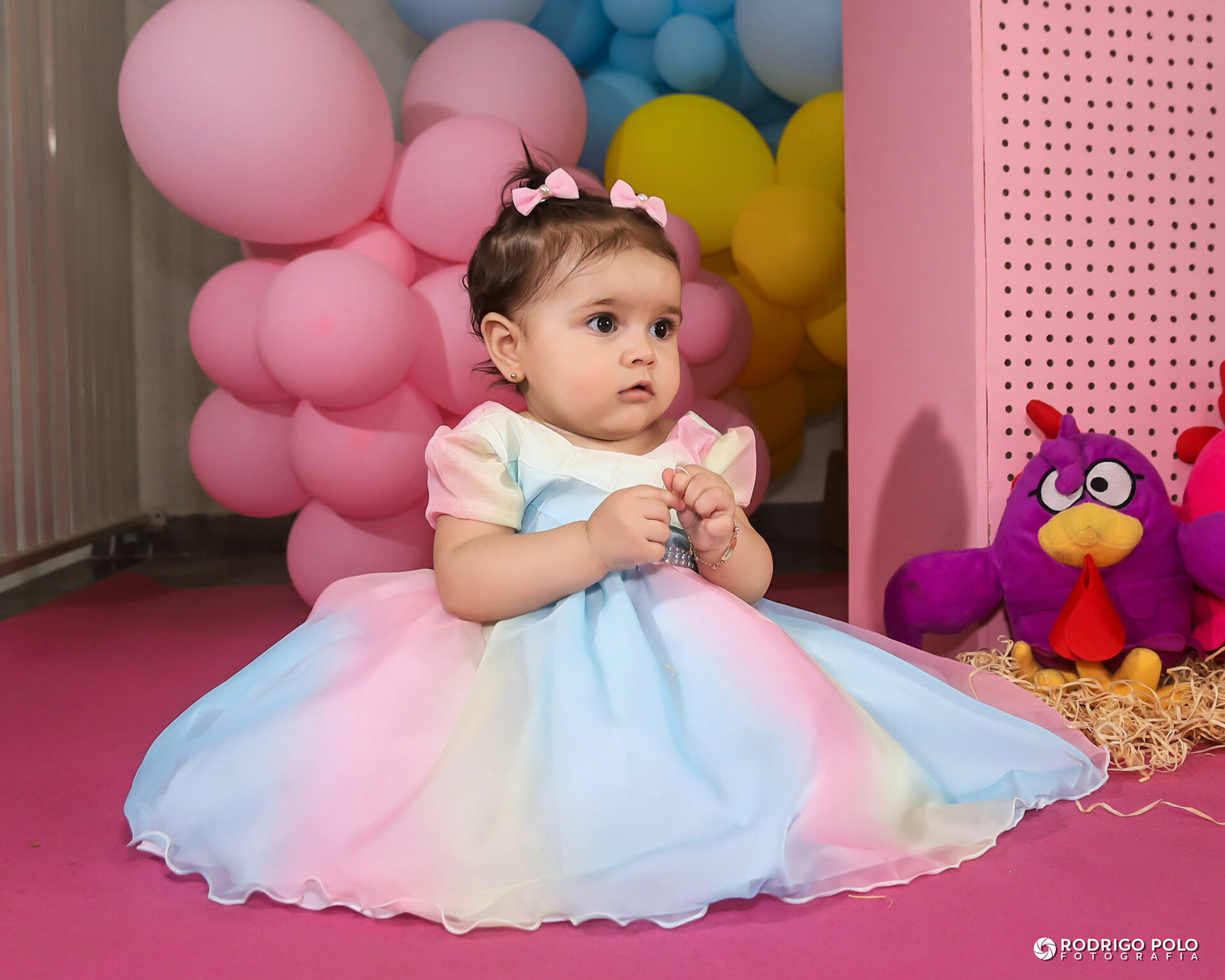 Foto Aniversário Helena - 1 Aninho Foto Aniversário Helena - 1 Aninho - Imagem 1