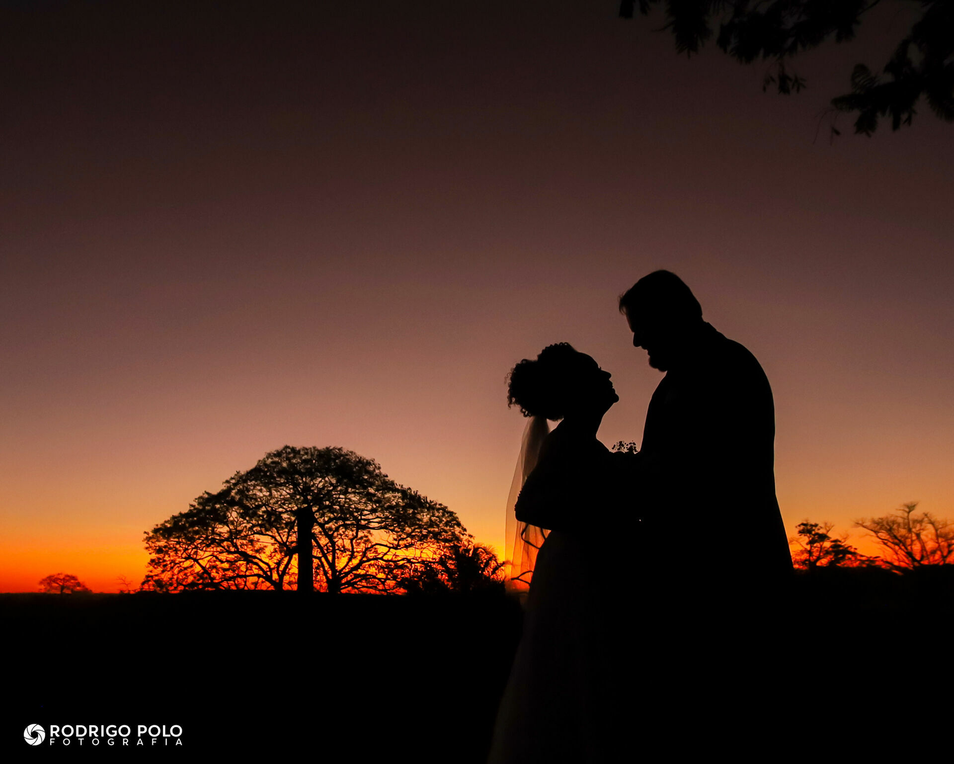 Foto Casamento Carla e Renan Foto Casamento Carla e Renan - Imagem 9