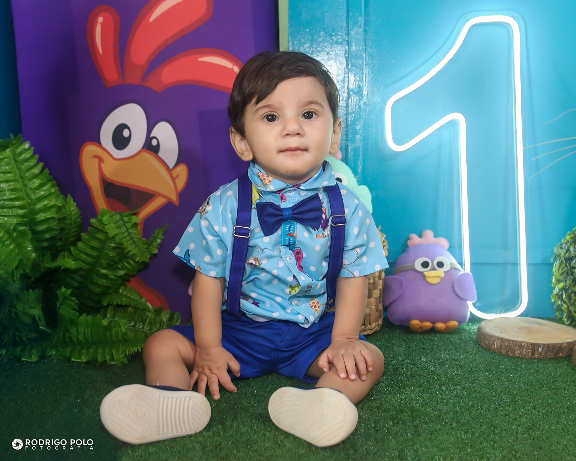 Foto Aniversário Benício - 1 Aninho Foto Aniversário Benício - 1 Aninho - Imagem 0