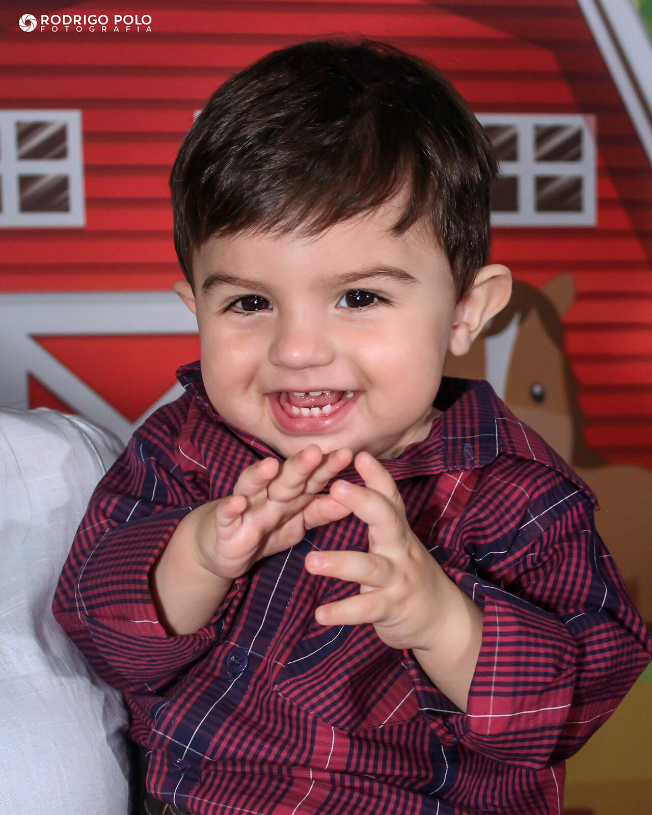 Foto Aniversário Pedro - 1 Aninho Foto Aniversário Pedro - 1 Aninho - Imagem 0