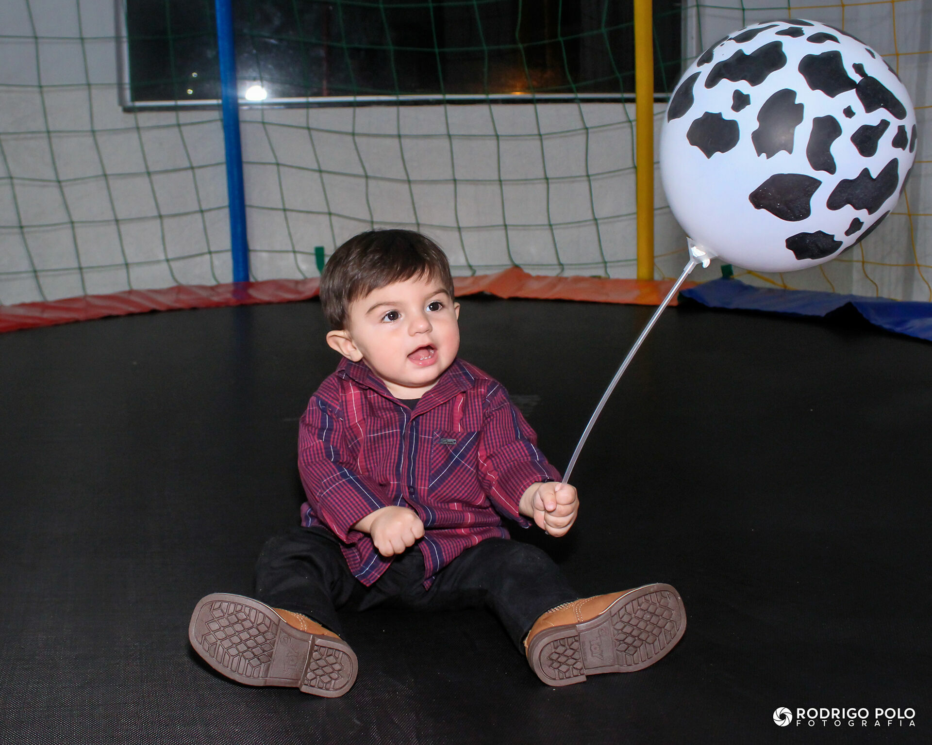 Foto Aniversário Pedro - 1 Aninho Foto Aniversário Pedro - 1 Aninho - Imagem 5