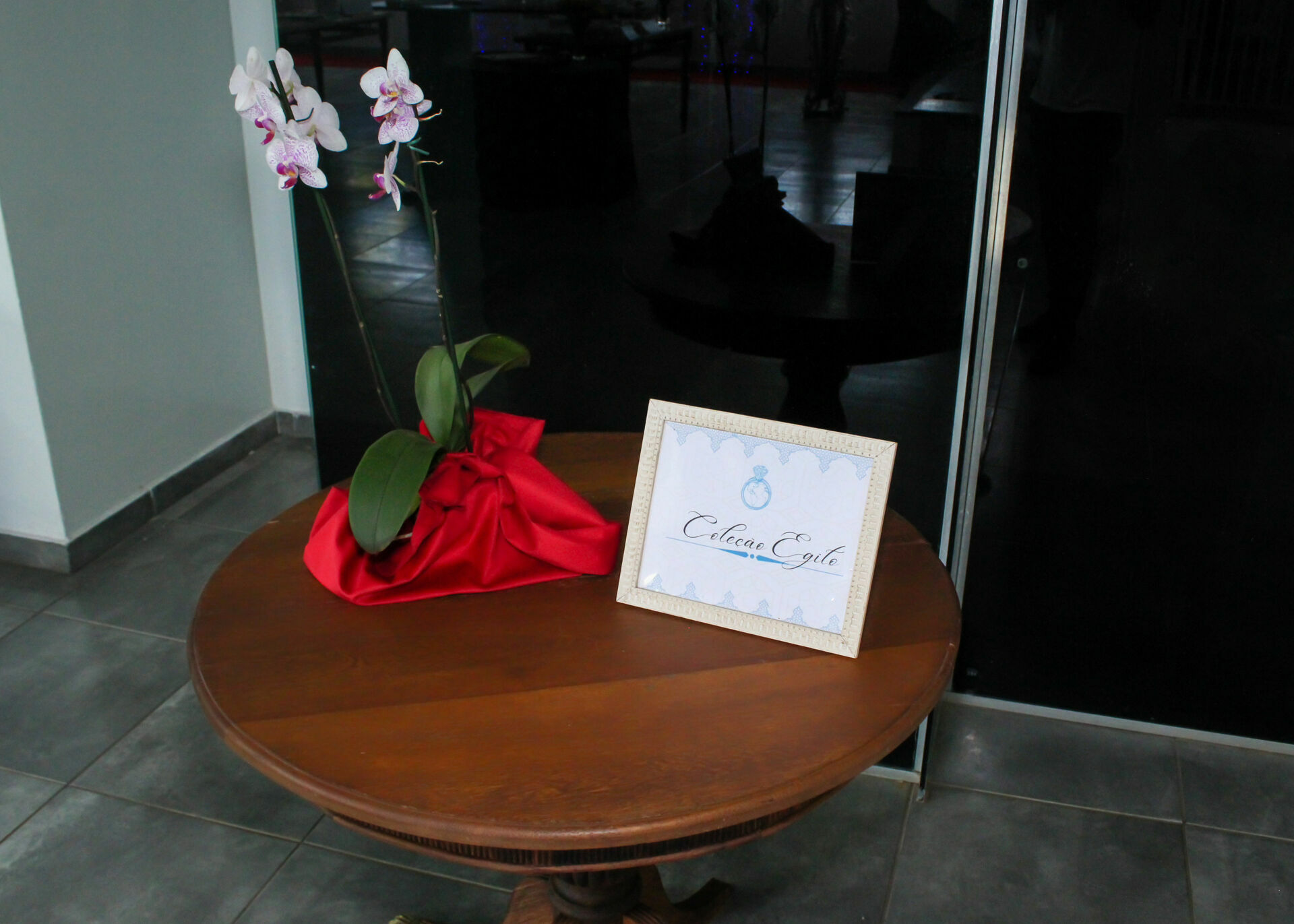 Foto Lançamento Coleção Egito - Gringa Glow - Imagem 91