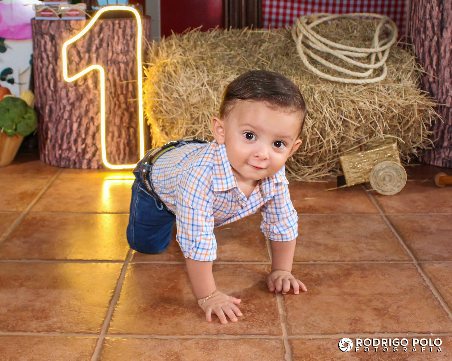 Foto Aniversário Gregório - 1 Aninho Foto Aniversário Gregório - 1 Aninho - Imagem 2