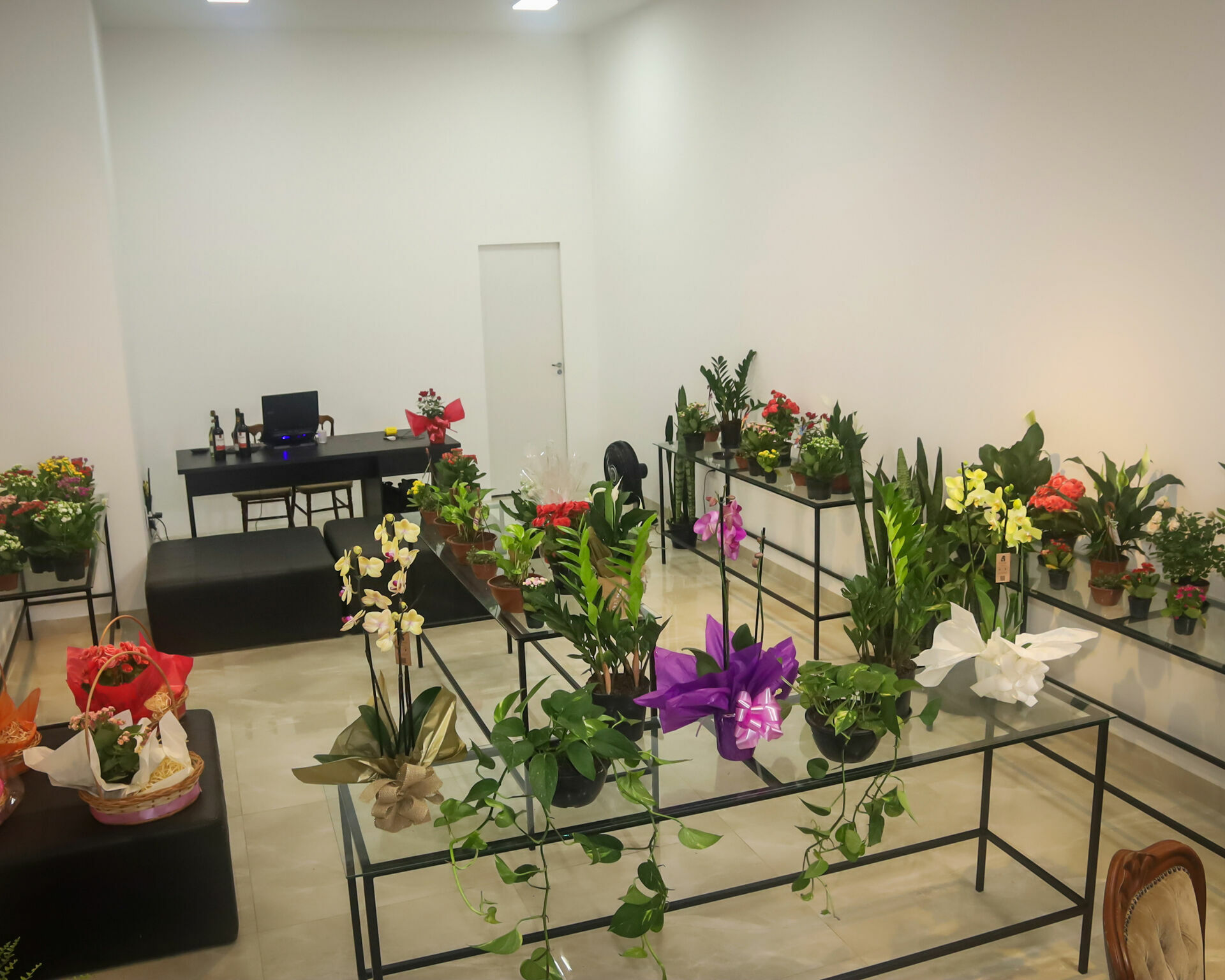 Foto Inauguração Floricultura Flor & Arte Foto Inauguração Floricultura Flor & Arte - Imagem 3