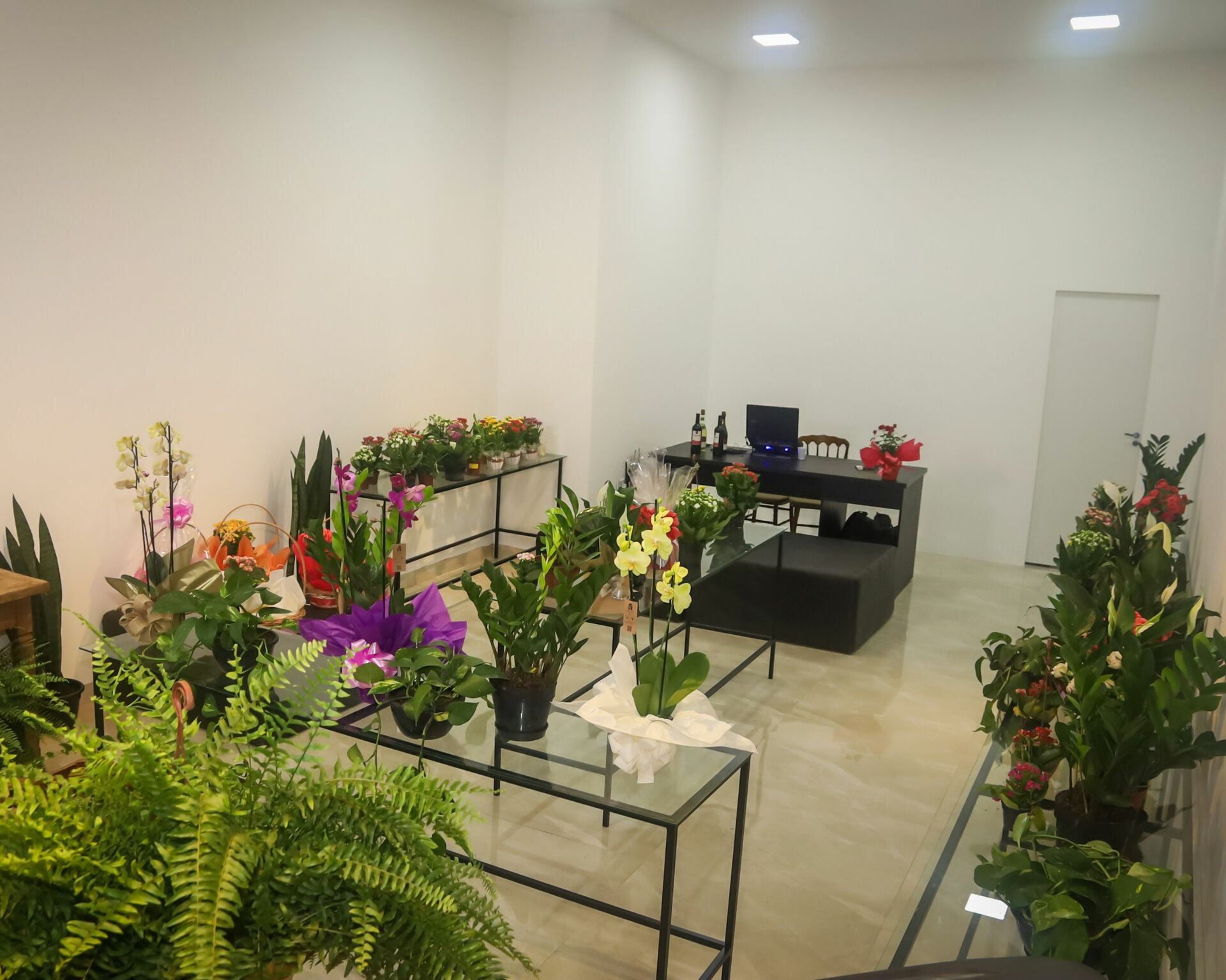 Foto Inauguração Floricultura Flor & Arte Foto Inauguração Floricultura Flor & Arte - Imagem 4