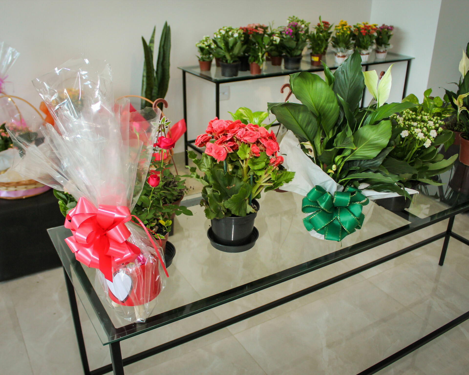 Foto Inauguração Floricultura Flor & Arte Foto Inauguração Floricultura Flor & Arte - Imagem 32