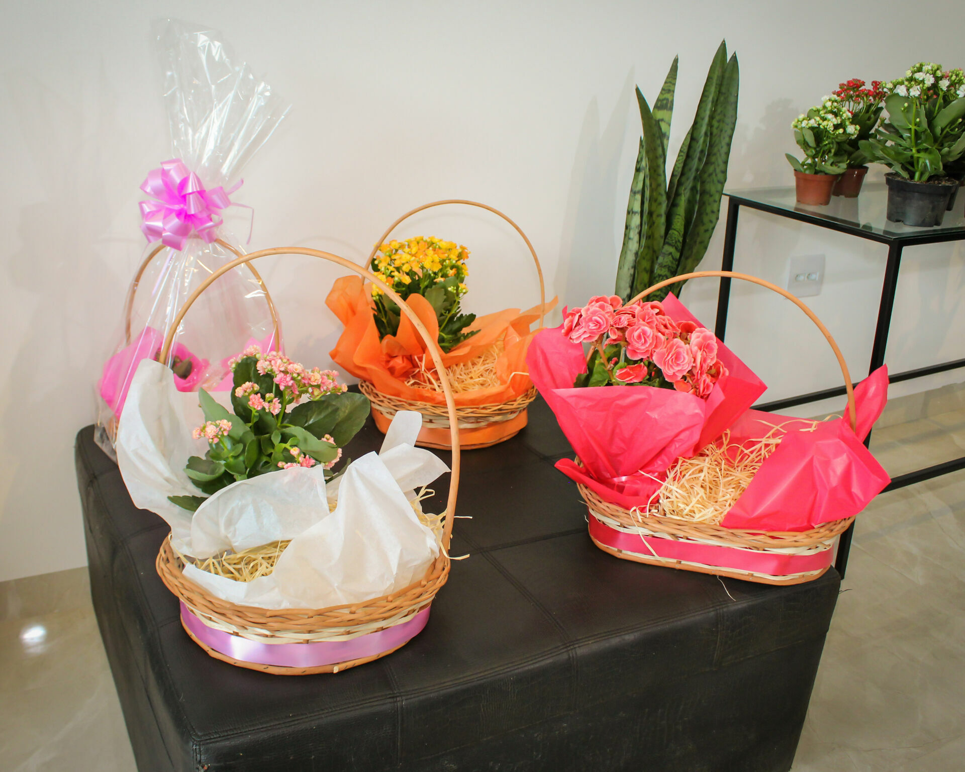 Foto Inauguração Floricultura Flor & Arte Foto Inauguração Floricultura Flor & Arte - Imagem 24