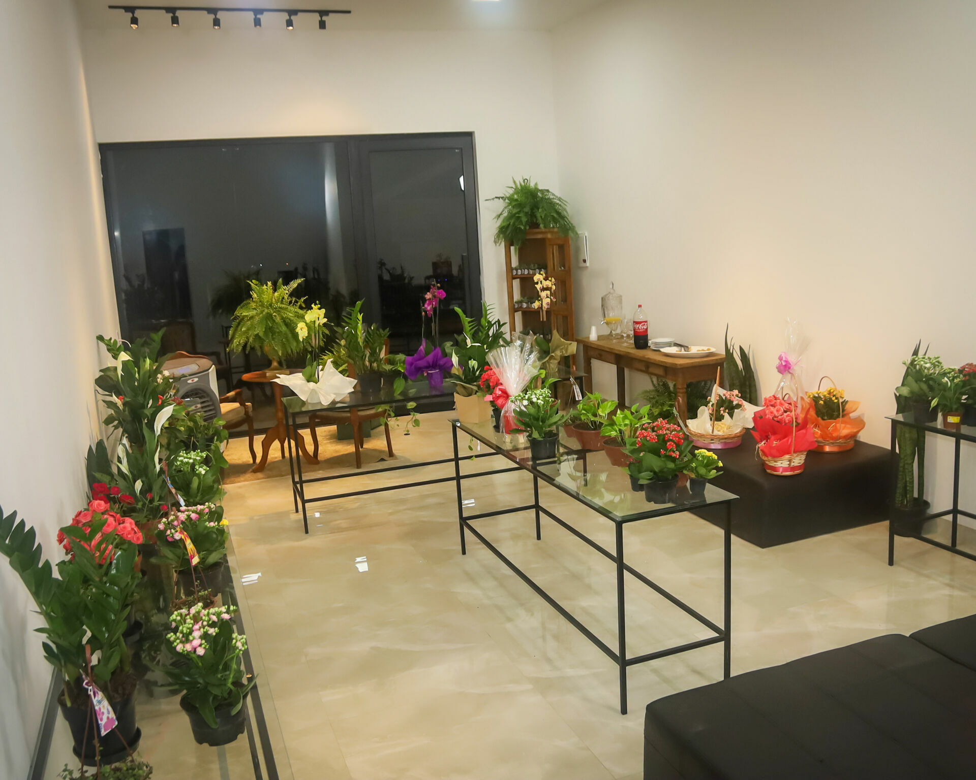 Foto Inauguração Floricultura Flor & Arte Foto Inauguração Floricultura Flor & Arte - Imagem 6