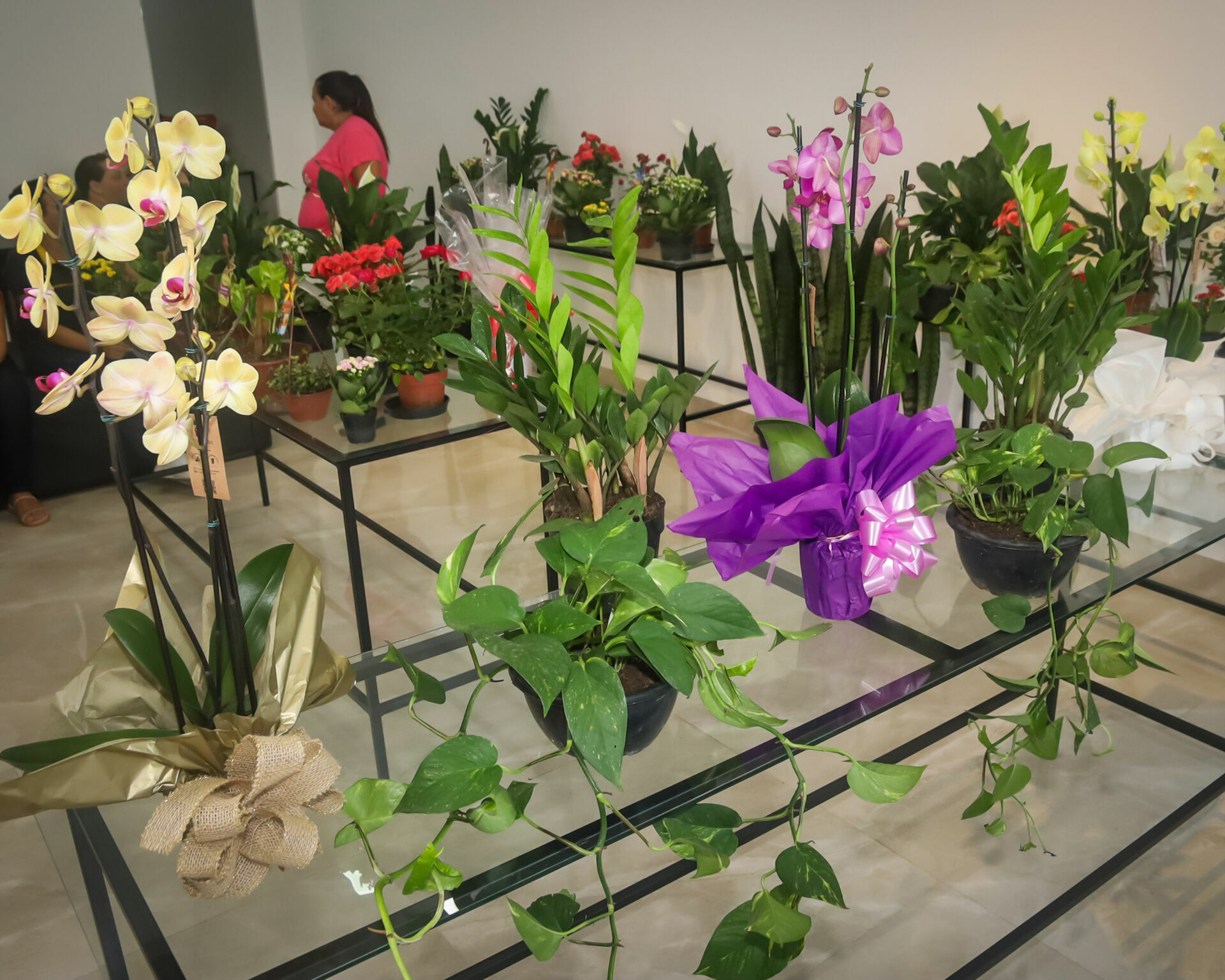 Foto Inauguração Floricultura Flor & Arte Foto Inauguração Floricultura Flor & Arte - Imagem 12