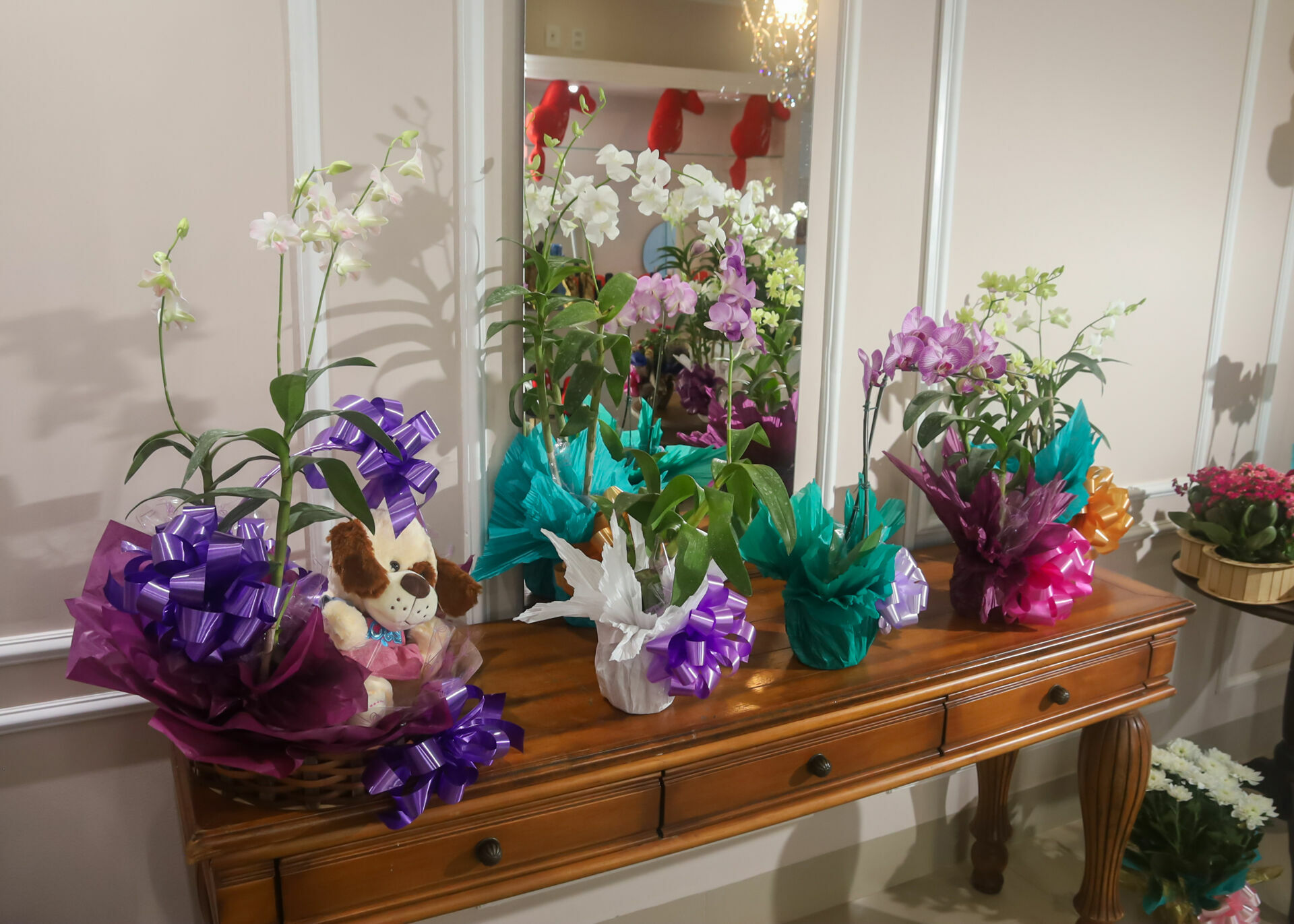 Foto Reinauguração Floricultura Chuva de Prata Foto Reinauguração Floricultura Chuva de Prata - Imagem 11