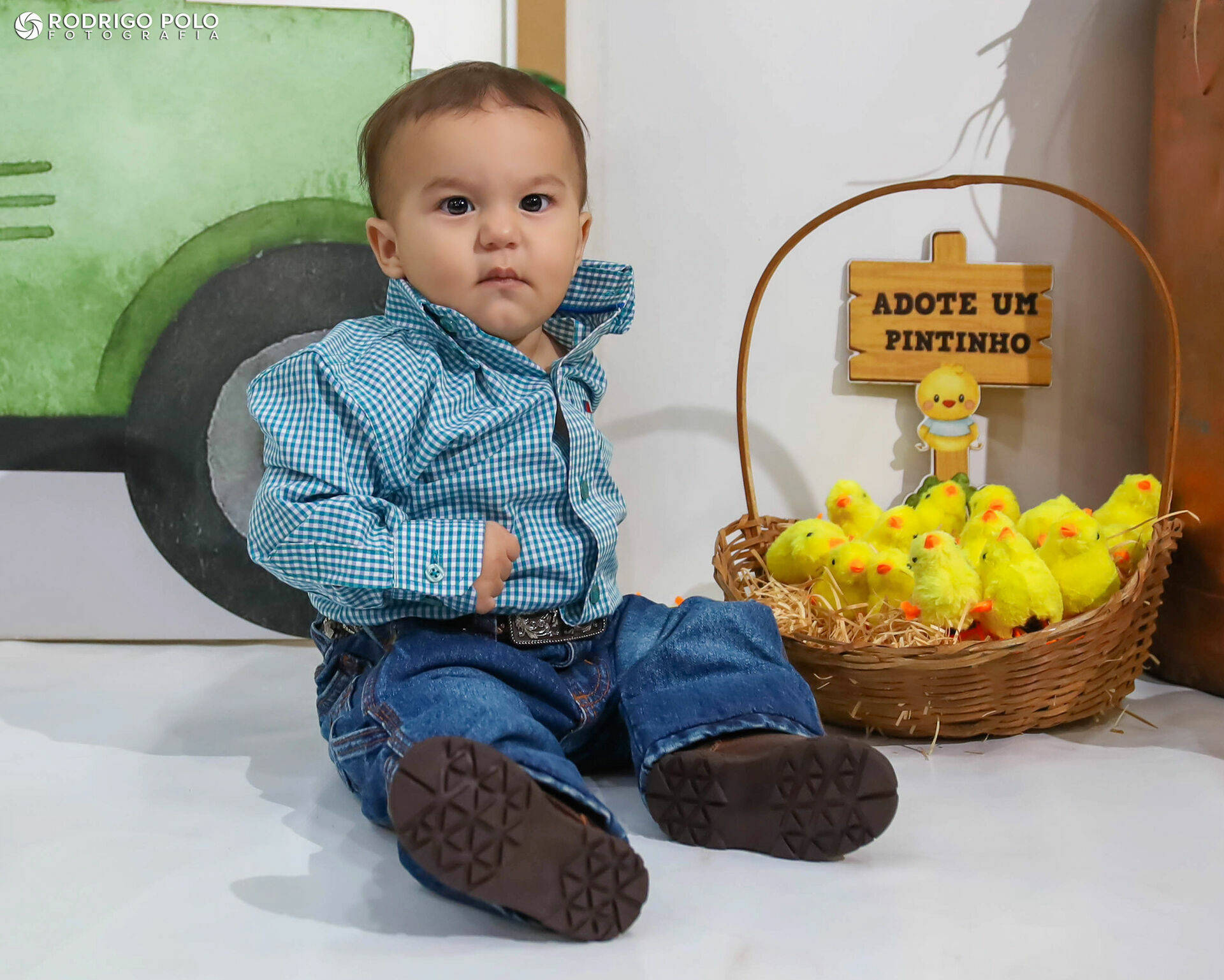 Foto Aniversário Joaquim - 1 Aninho Foto Aniversário Joaquim - 1 Aninho - Imagem 0