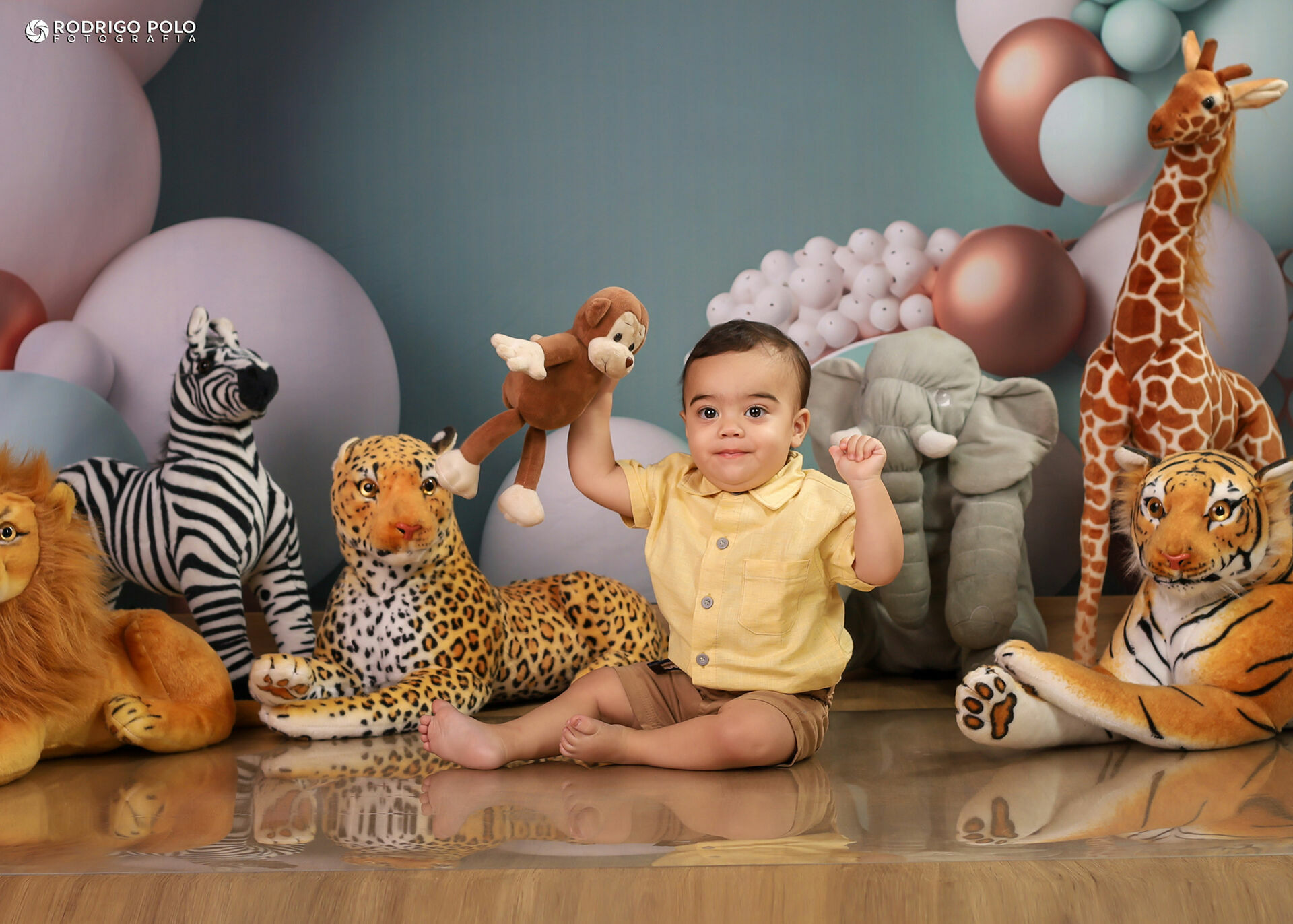 Foto Smash The Cake José Lucas - Imagem 0