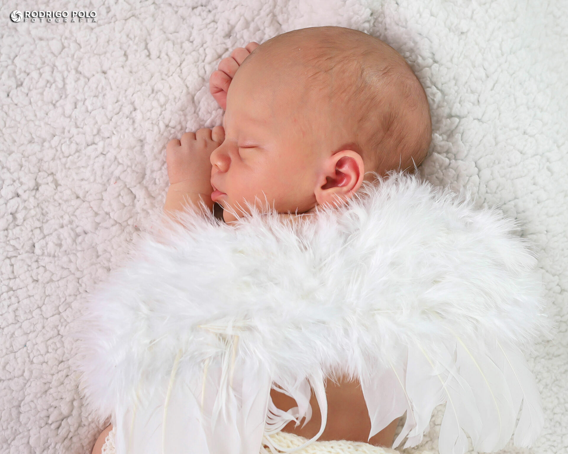 Foto Newborn Bernardo - Imagem 4