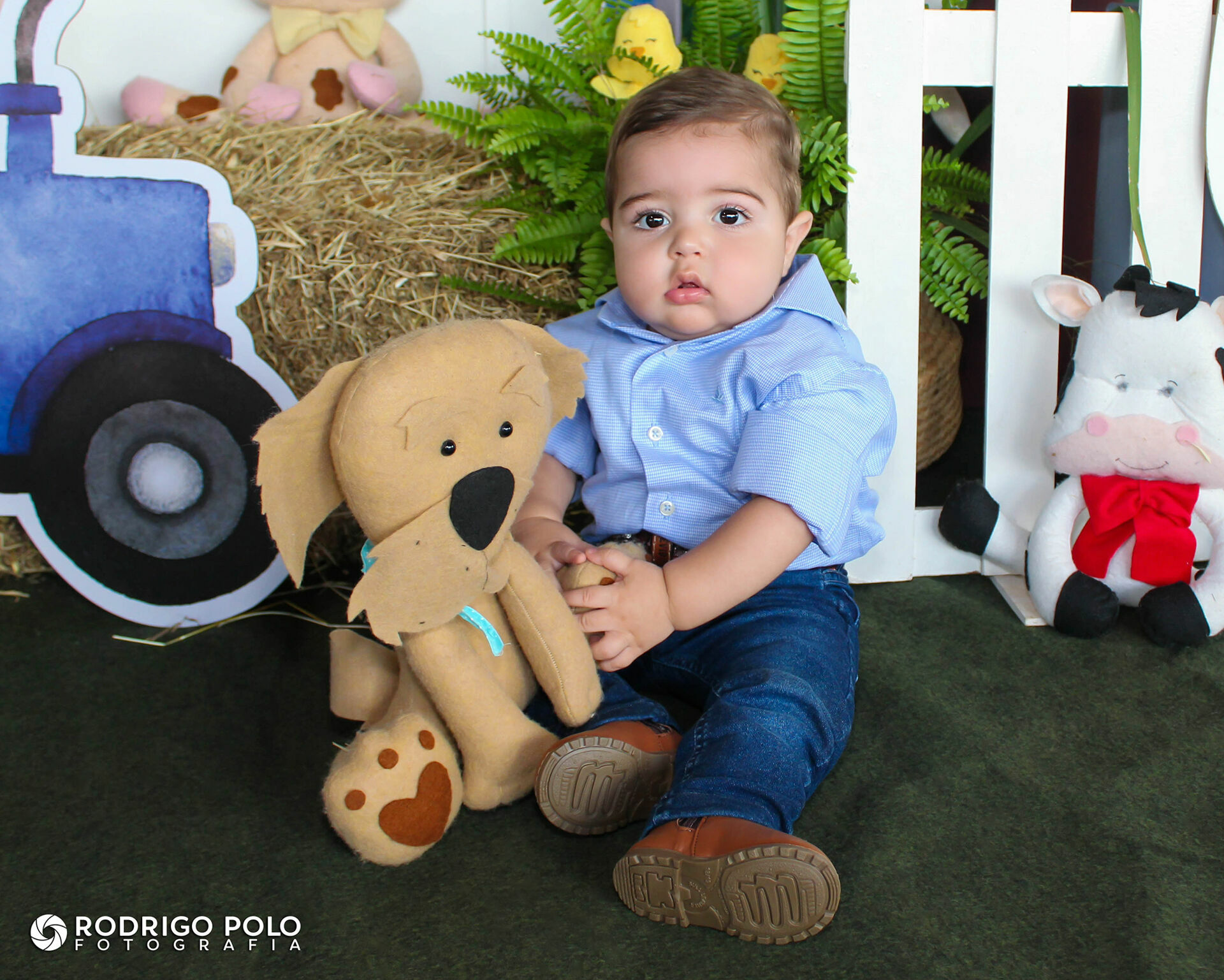 Foto Aniversário Olavo - 1 Aninho Foto Aniversário Olavo - 1 Aninho - Imagem 8