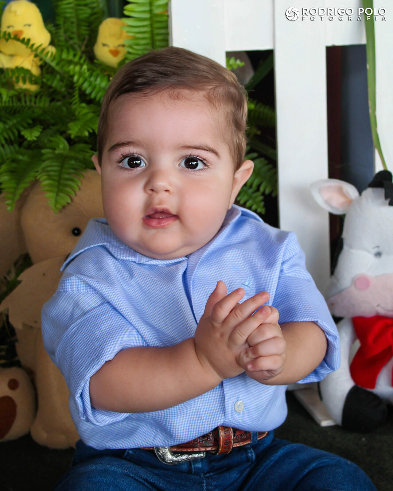 Foto Aniversário Olavo - 1 Aninho Foto Aniversário Olavo - 1 Aninho - Imagem 2