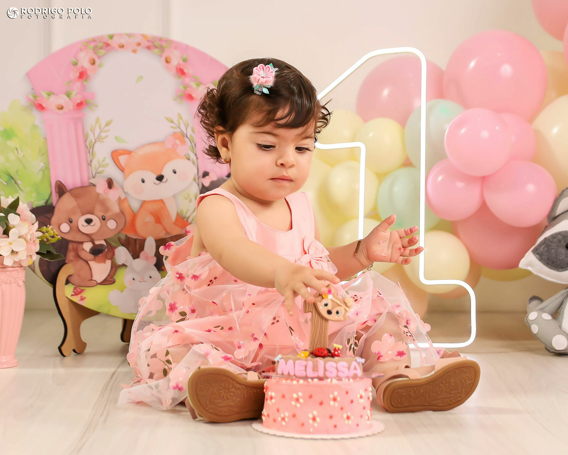 Foto Smash The Cake Melissa - Imagem 18