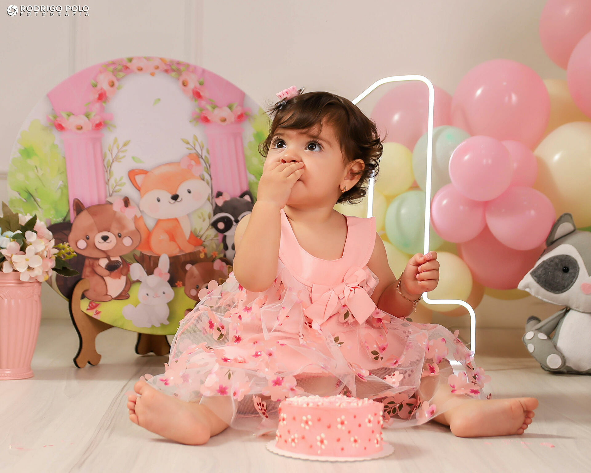 Foto Smash The Cake Melissa - Imagem 19