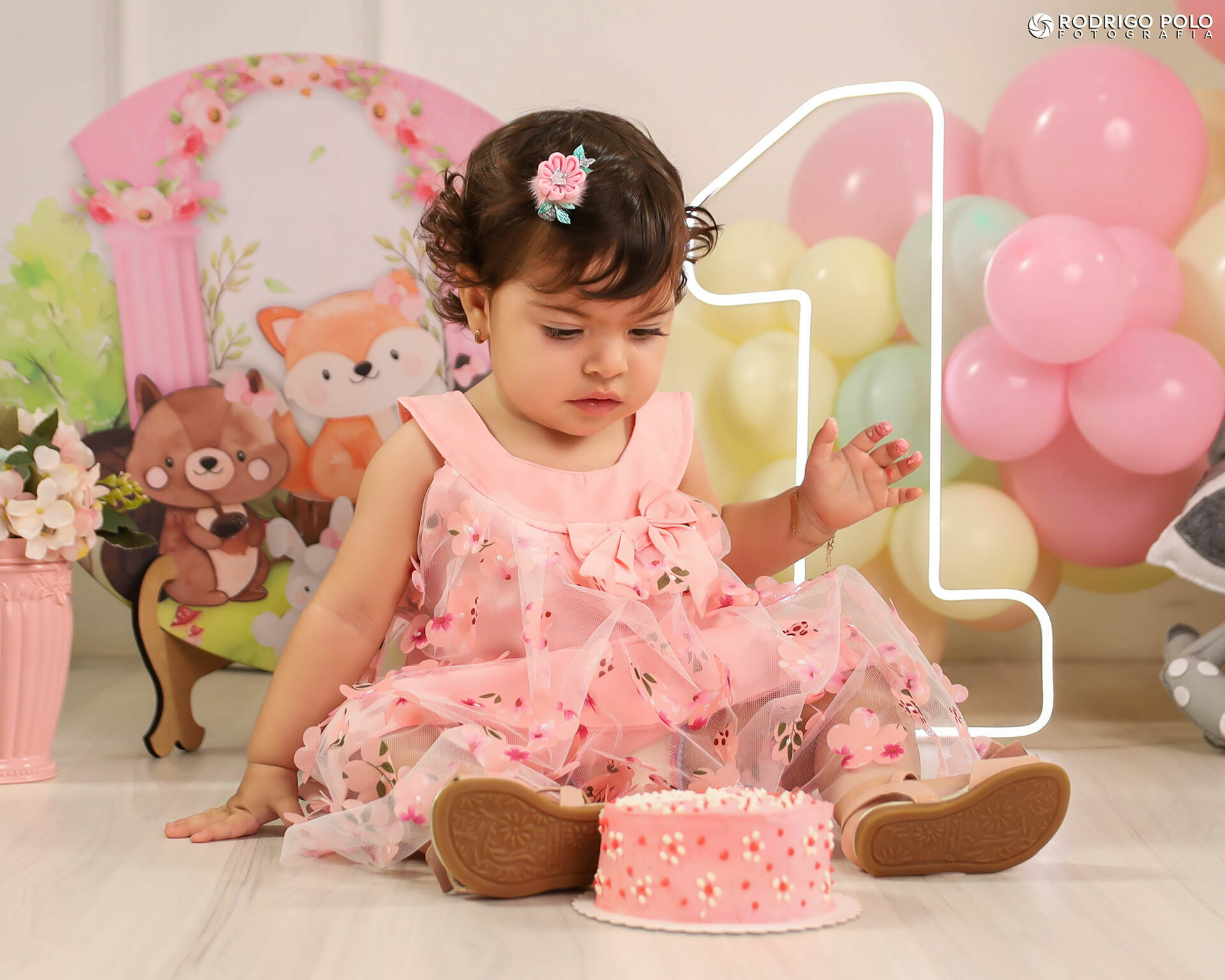 Foto Smash The Cake Melissa - Imagem 17