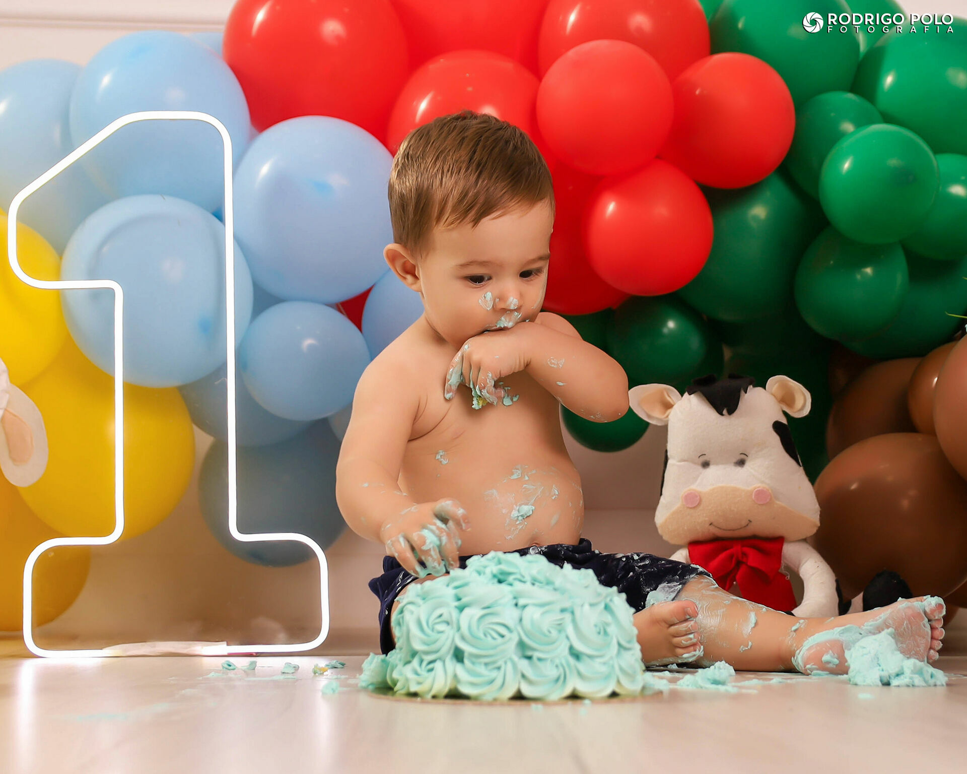 Foto Smash The Cake Henrique - Imagem 15