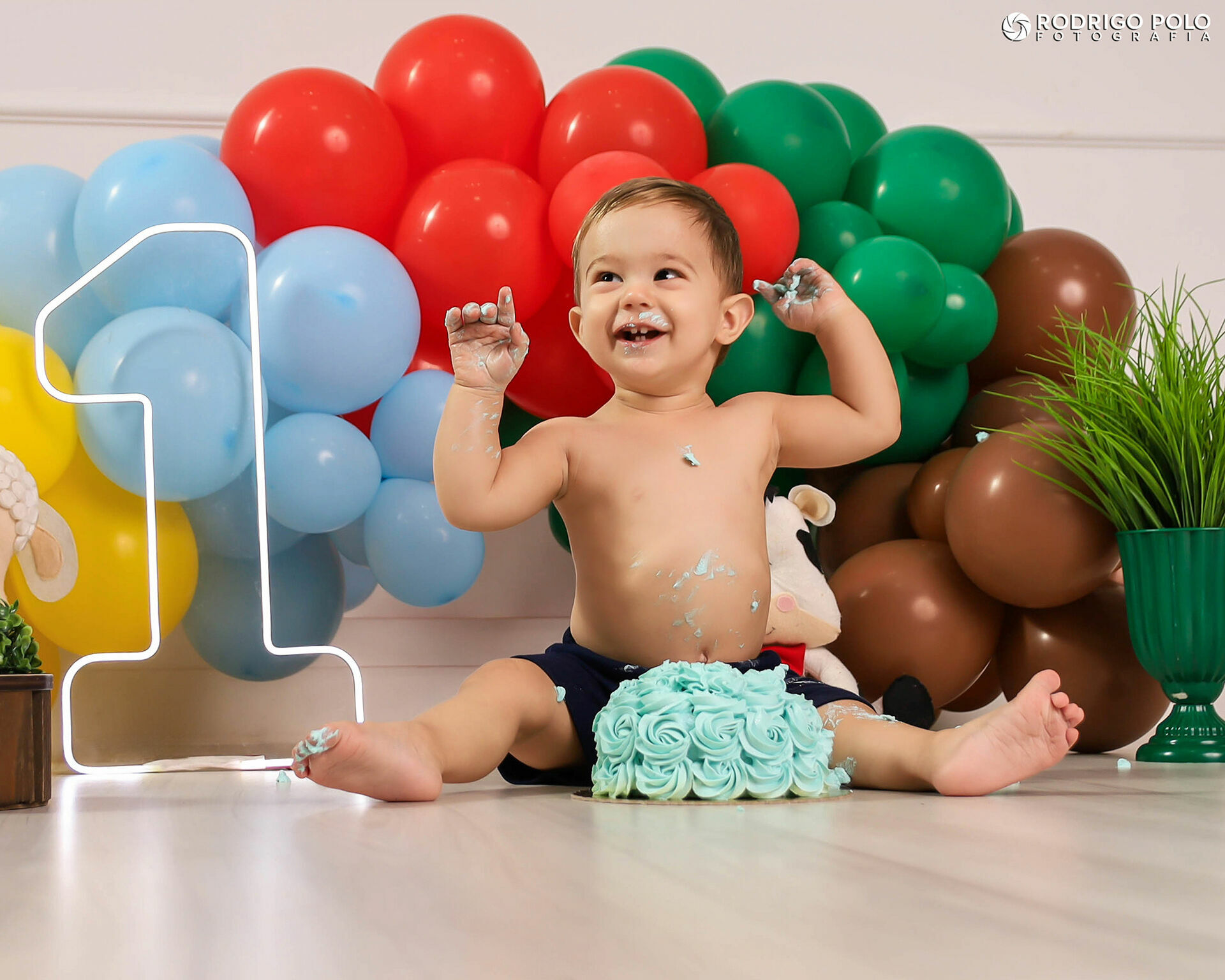 Foto Smash The Cake Henrique - Imagem 6