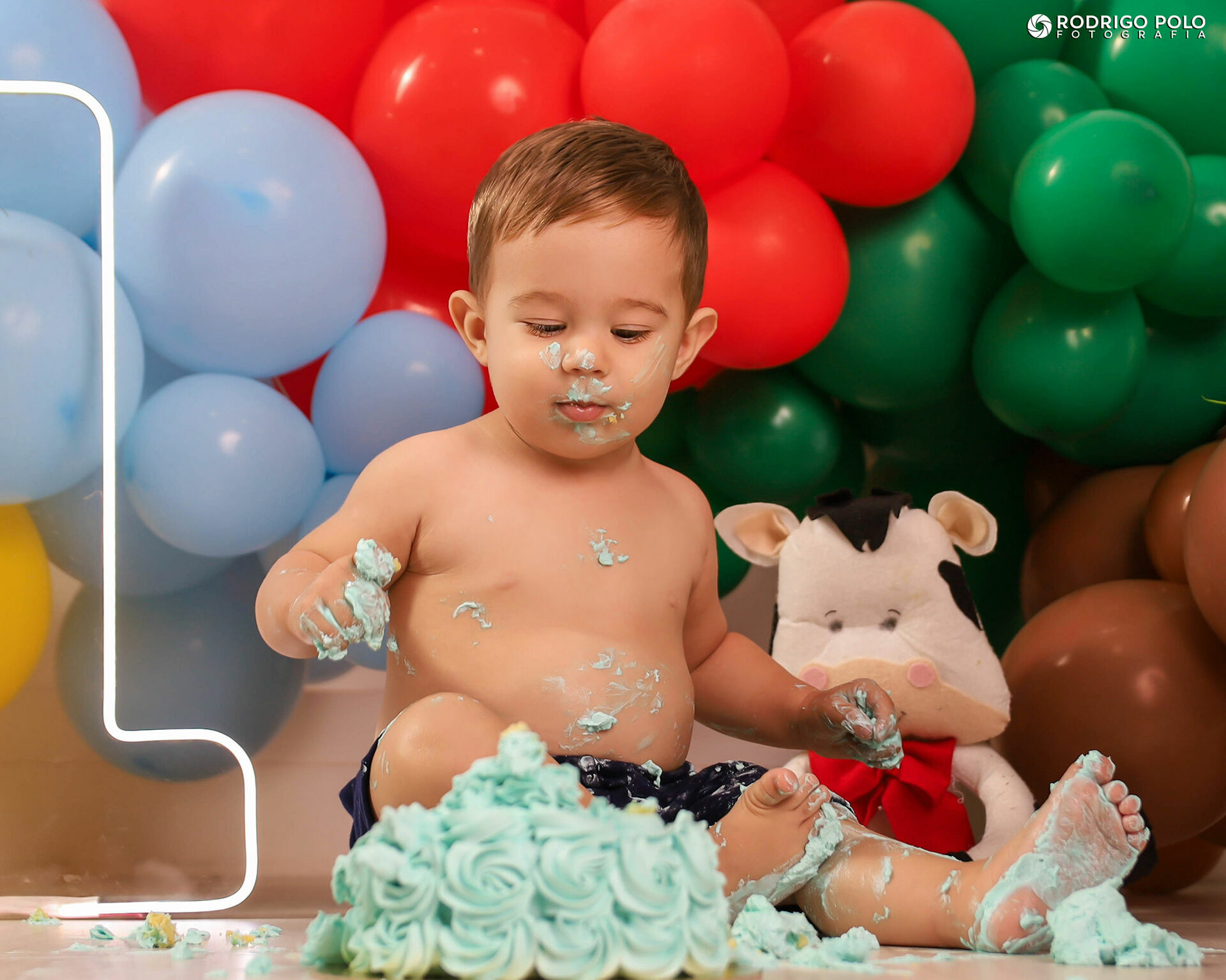 Foto Smash The Cake Henrique - Imagem 17