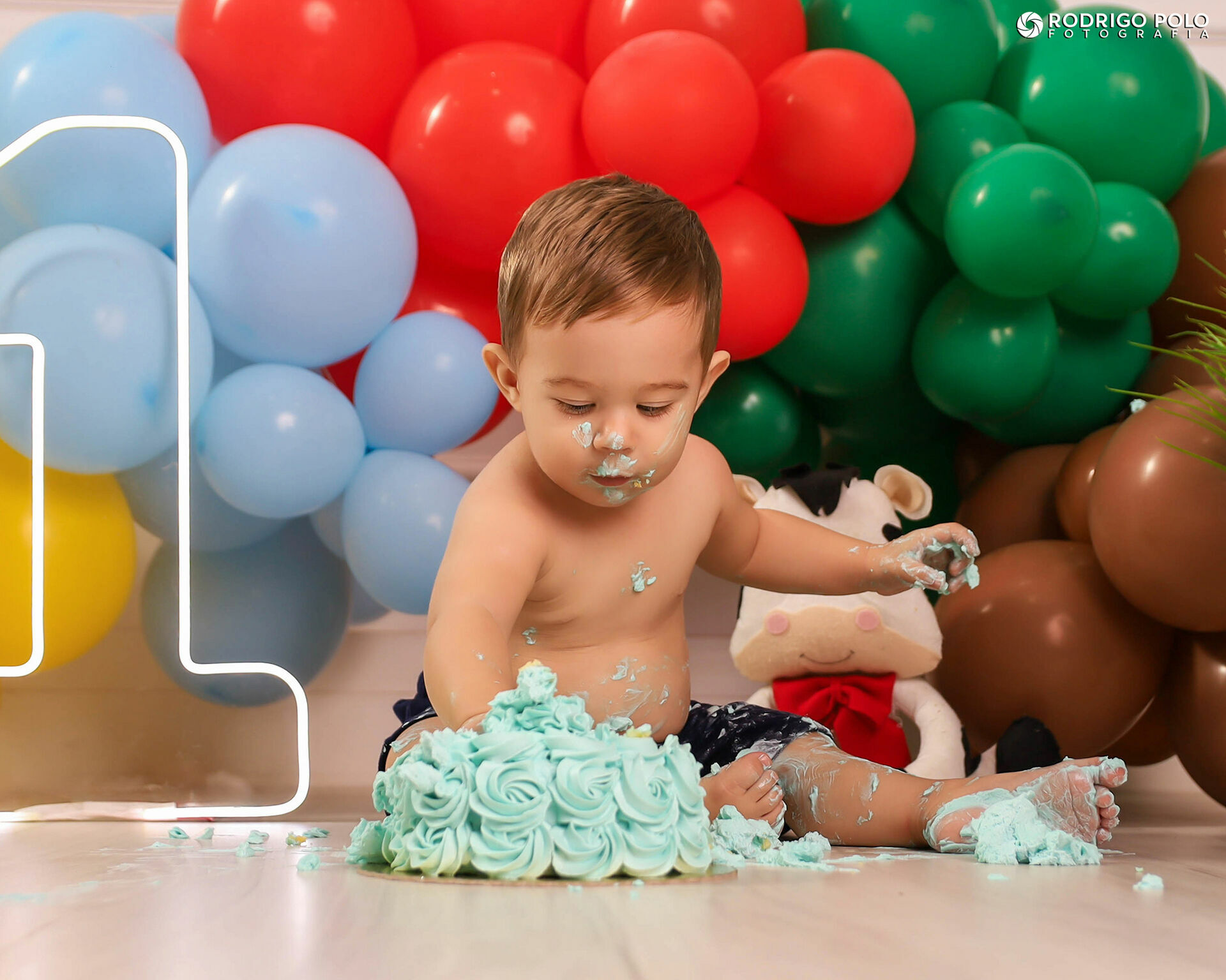 Foto Smash The Cake Henrique - Imagem 16