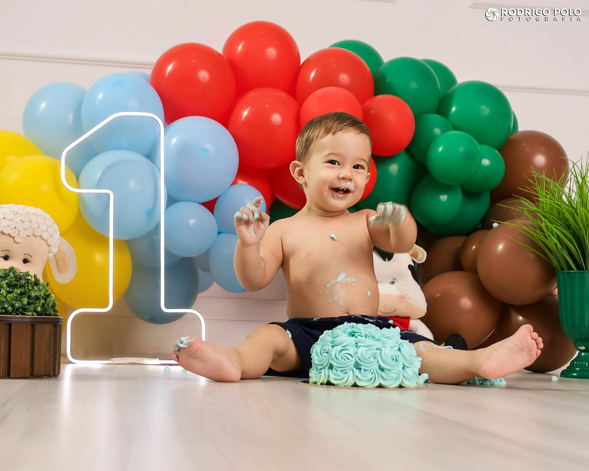 Foto Smash The Cake Henrique - Imagem 5