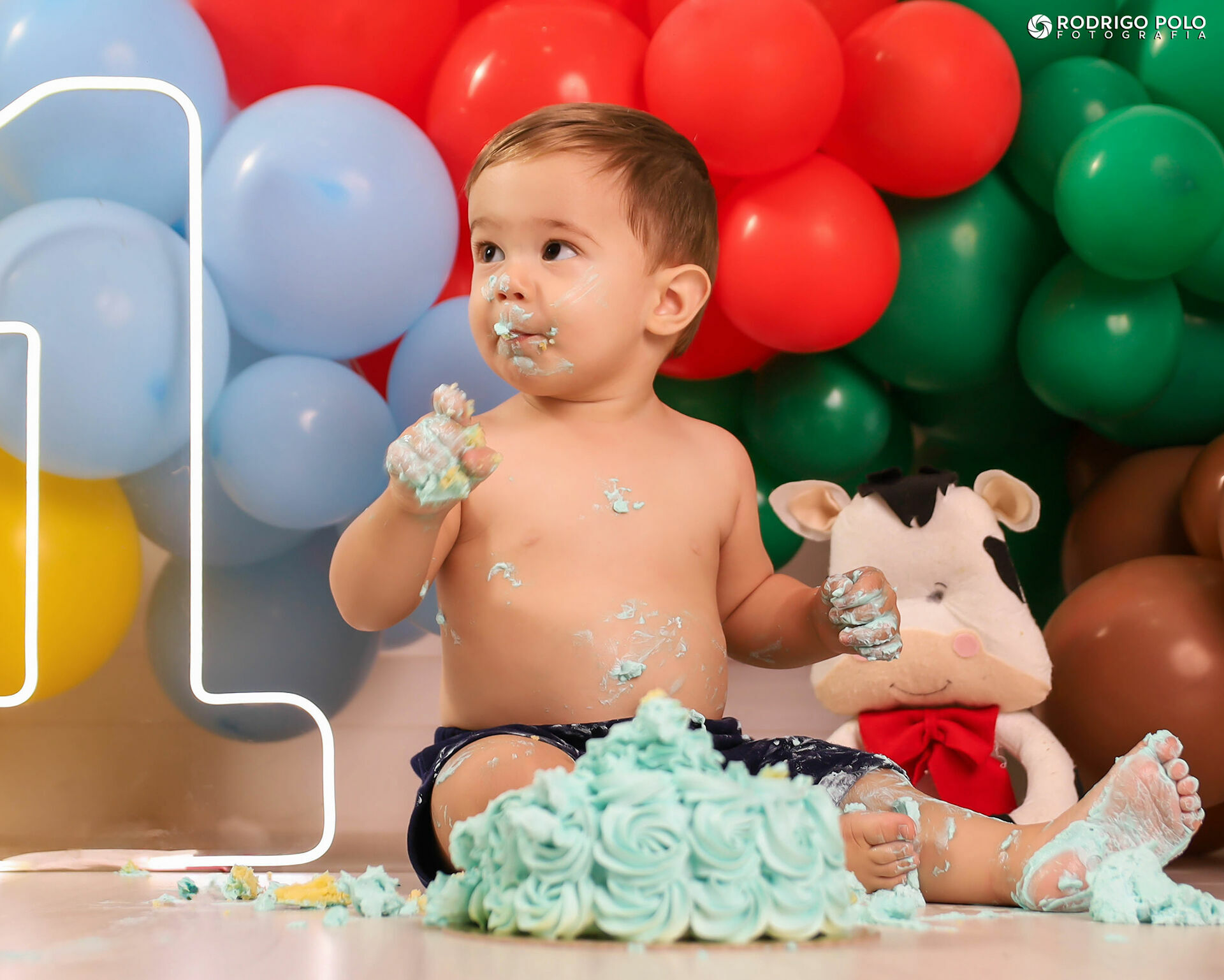 Foto Smash The Cake Henrique - Imagem 19