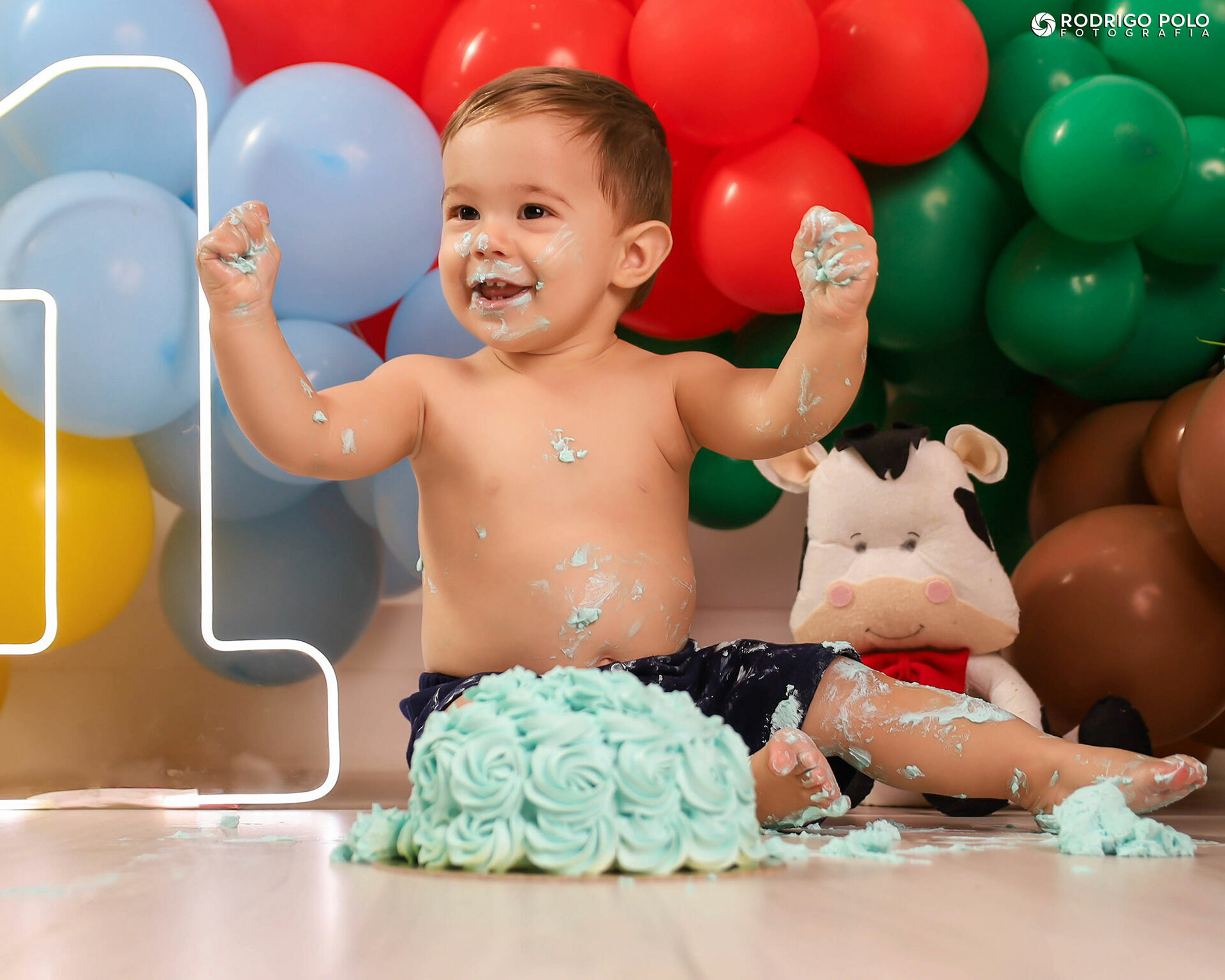 Foto Smash The Cake Henrique - Imagem 14