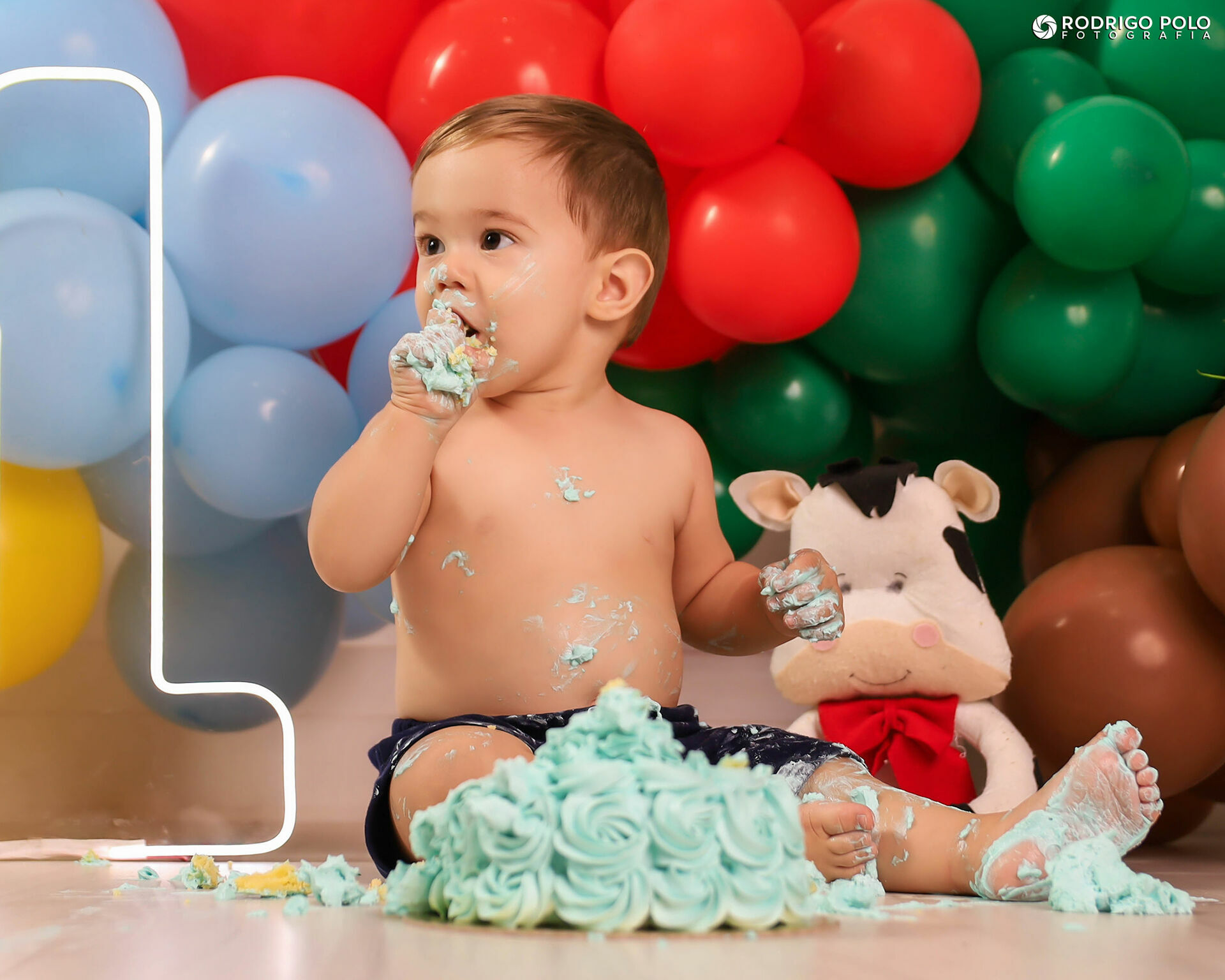 Foto Smash The Cake Henrique - Imagem 18