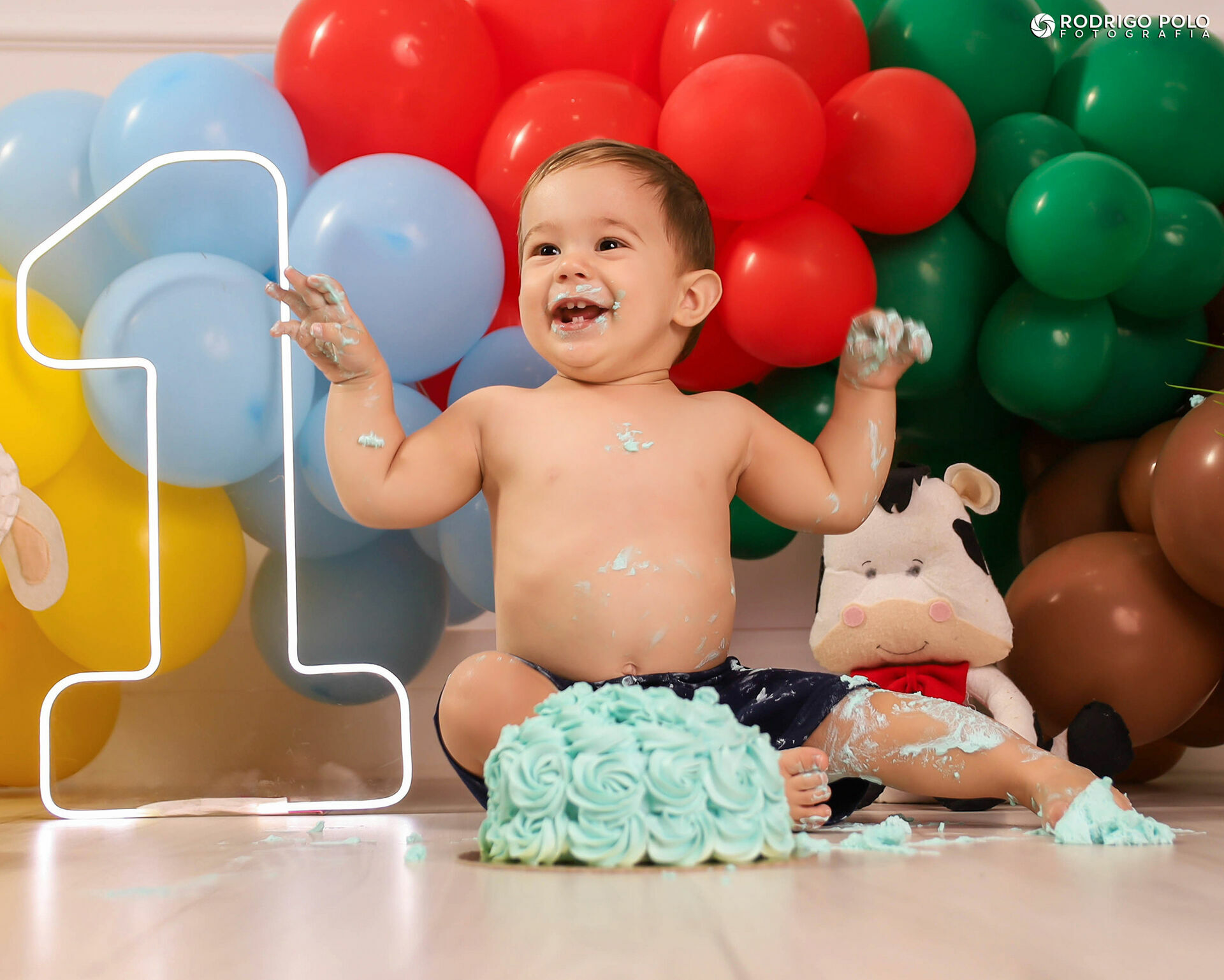 Foto Smash The Cake Henrique - Imagem 11