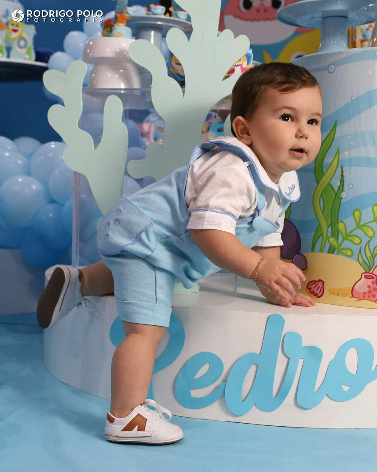 Foto Aniversário Pedro - 1 Aninho - Imagem 9