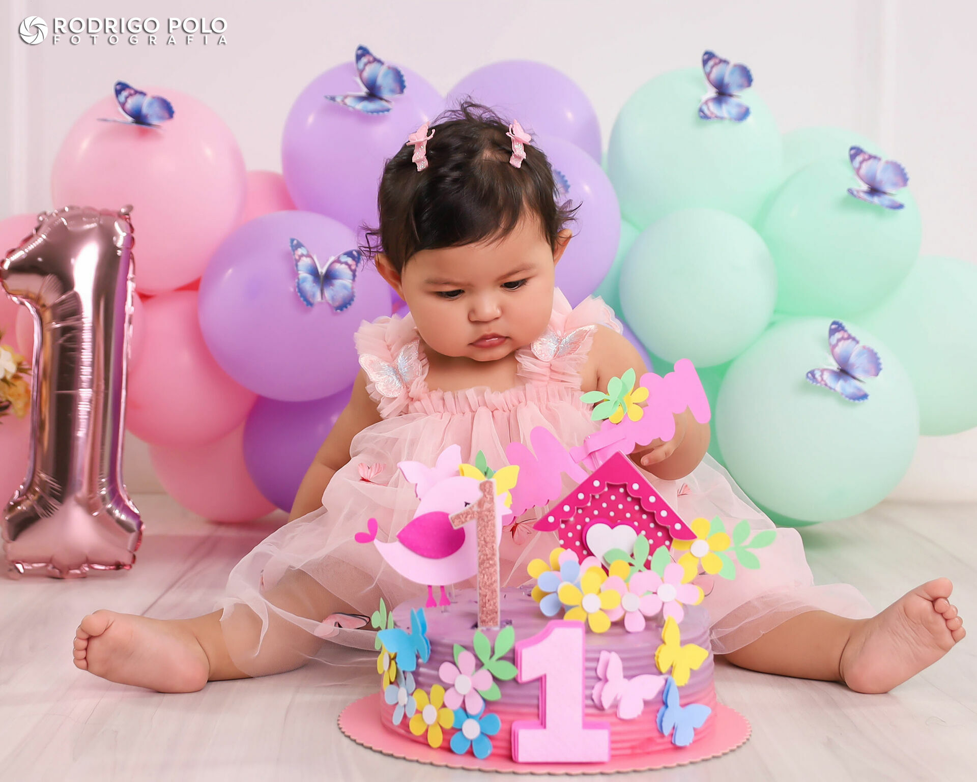 Foto Smash The Cake Maria Alice Foto Smash The Cake Maria Alice - Imagem 14