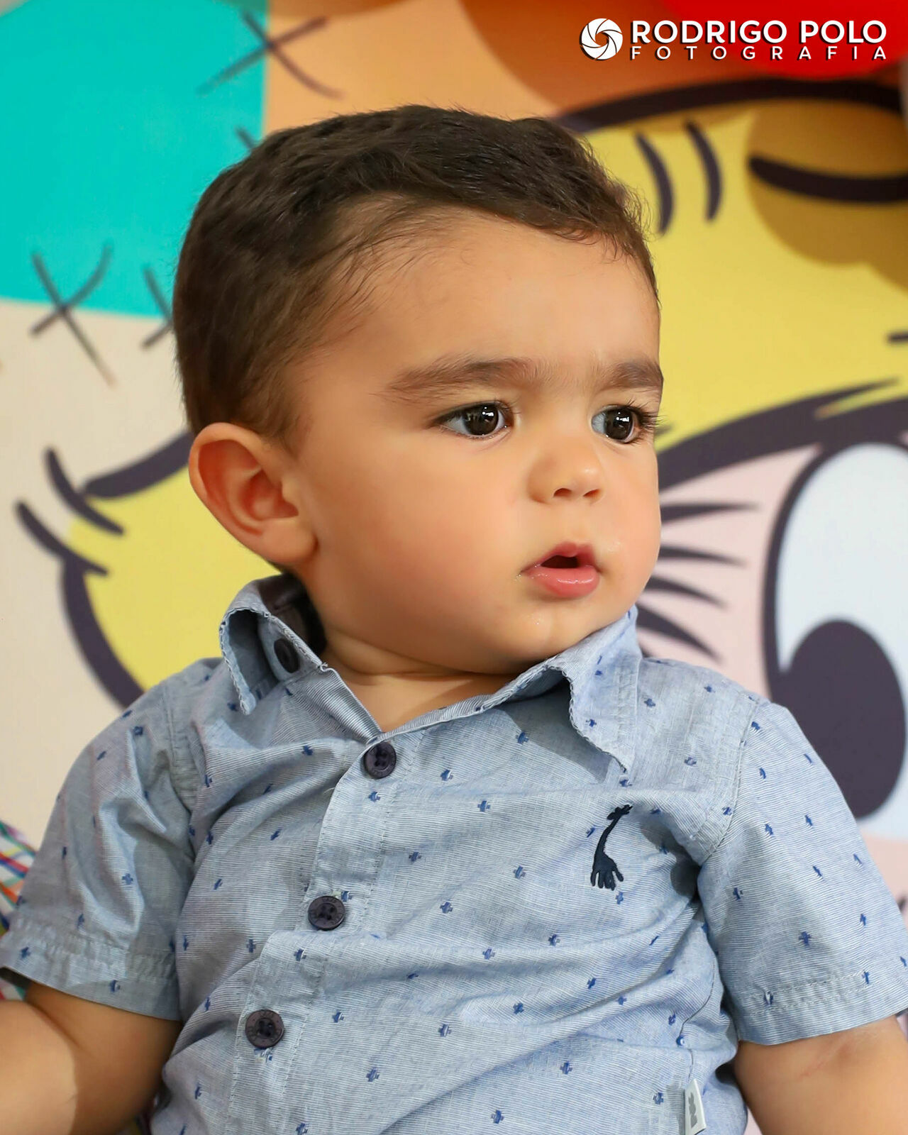 Foto Aniversário Théo - 1 Aninho Foto Aniversário Théo - 1 Aninho - Imagem 2