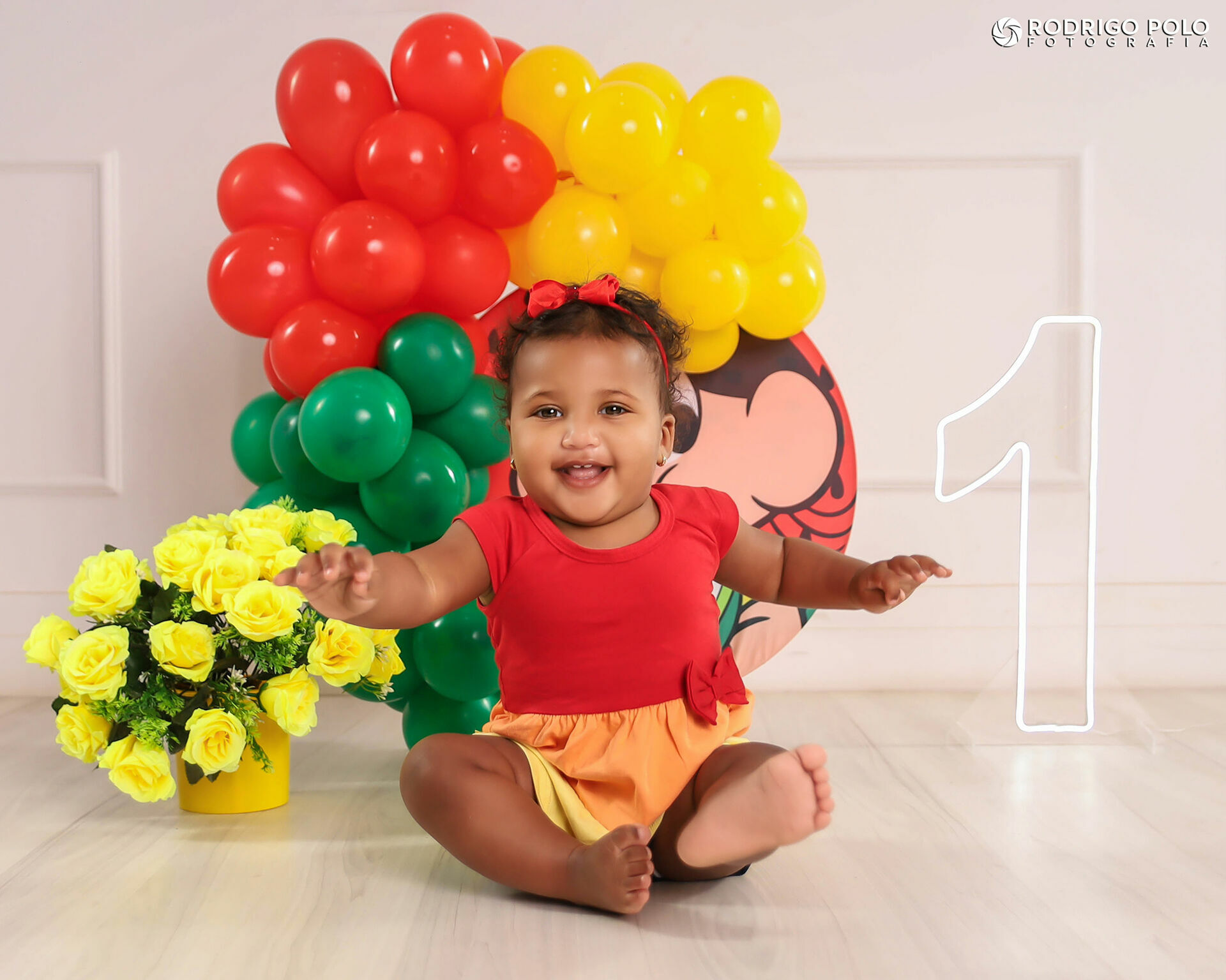 Foto Liz - 1 Aninho - Imagem 1