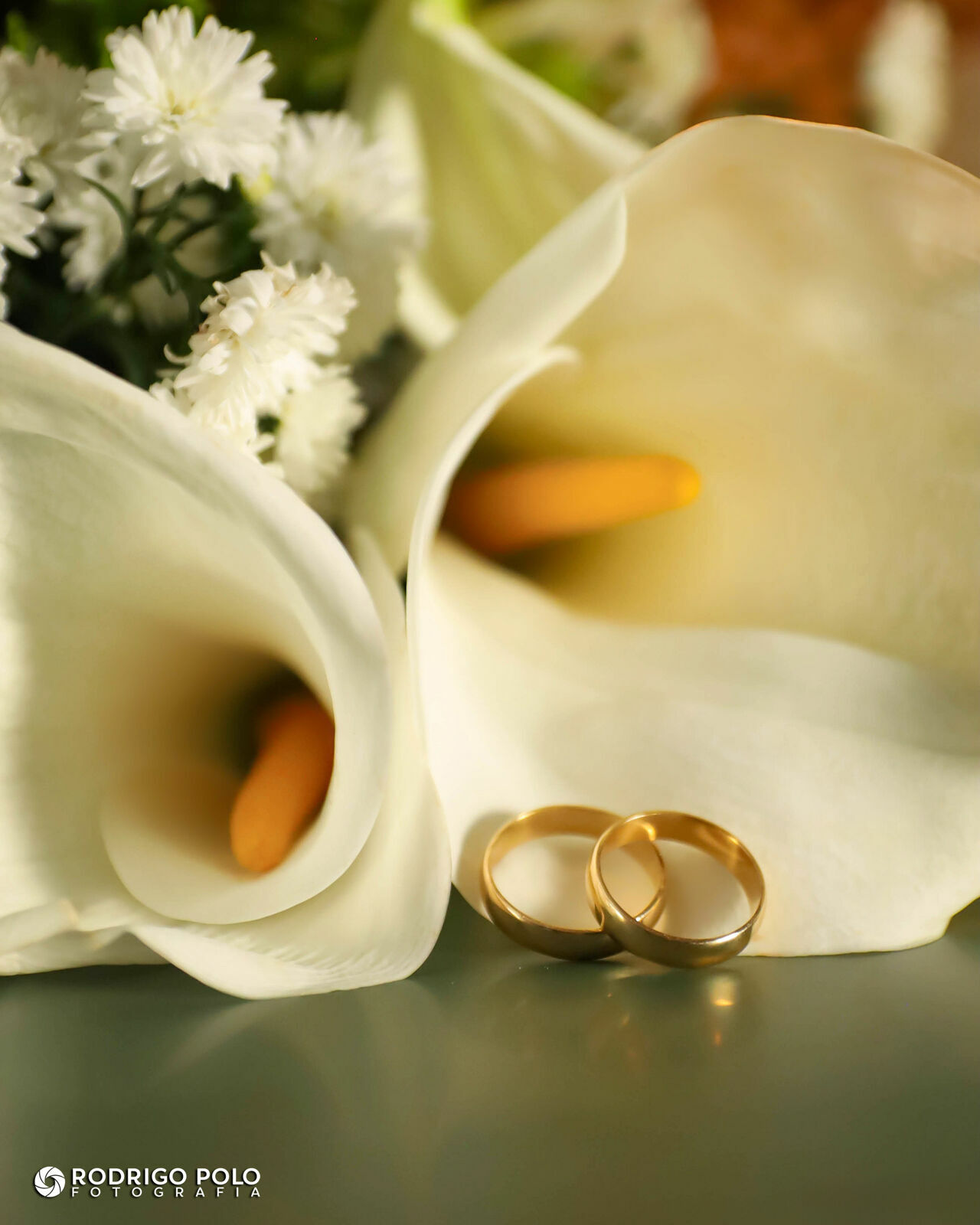 Foto Casamento Daiani e Welvis Foto Casamento Daiani e Welvis - Imagem 19