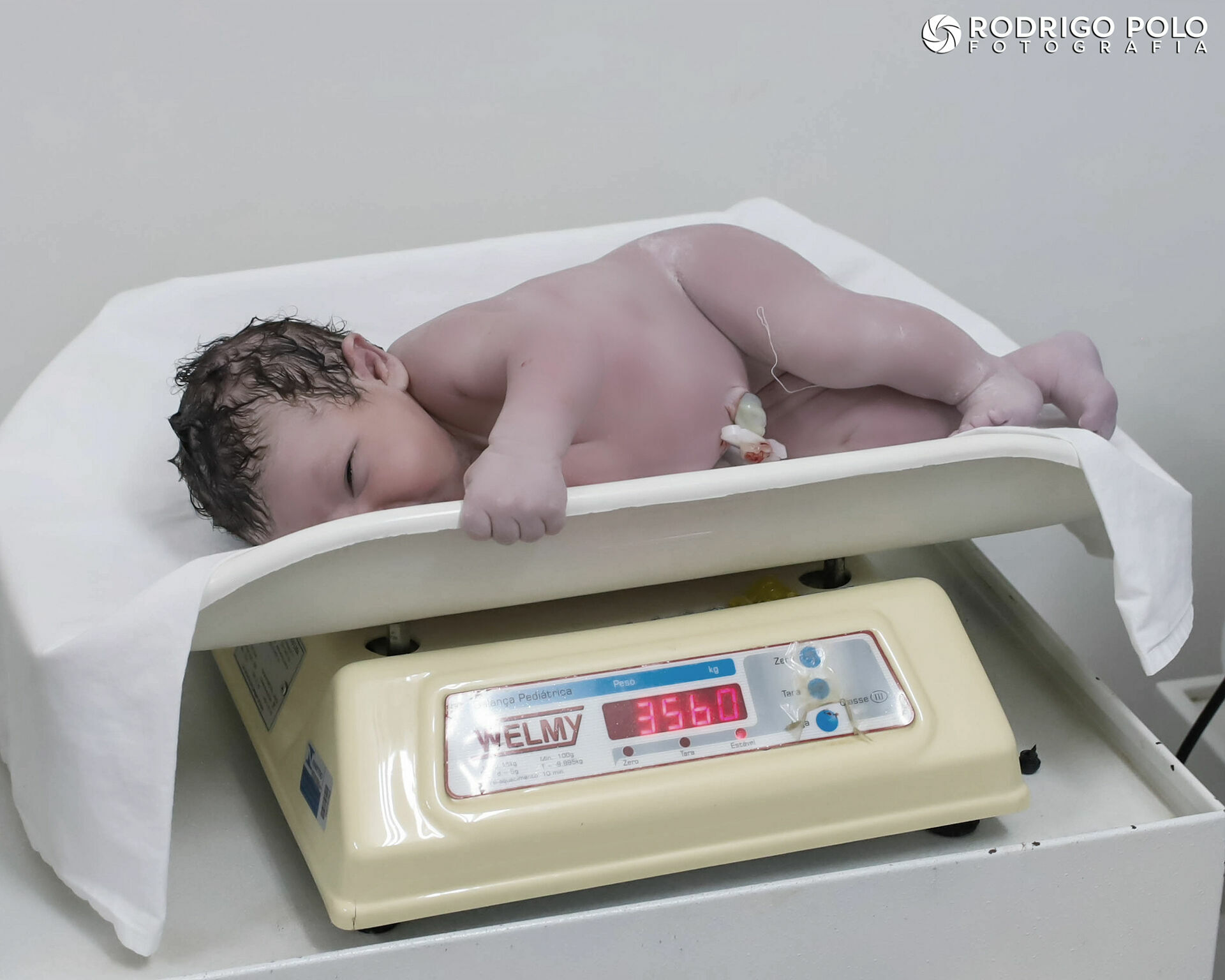 Foto Nascimento George - Imagem 8