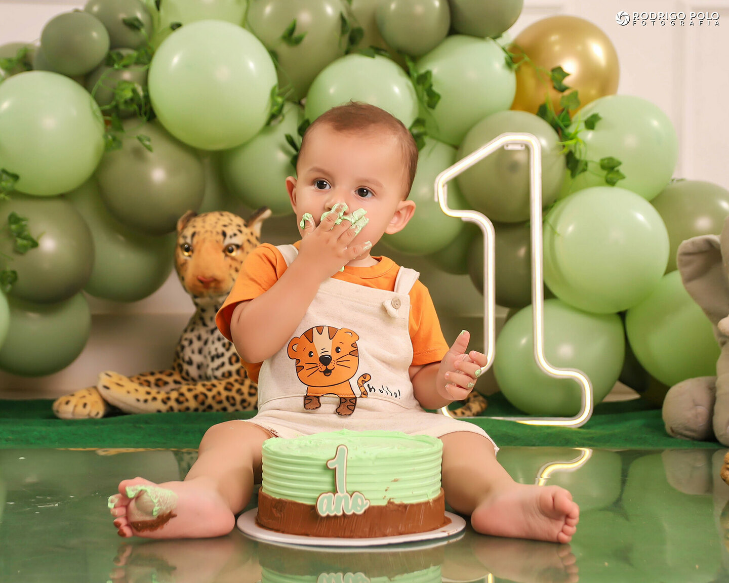 Smash The Cake Bernardo - 1 Aninho