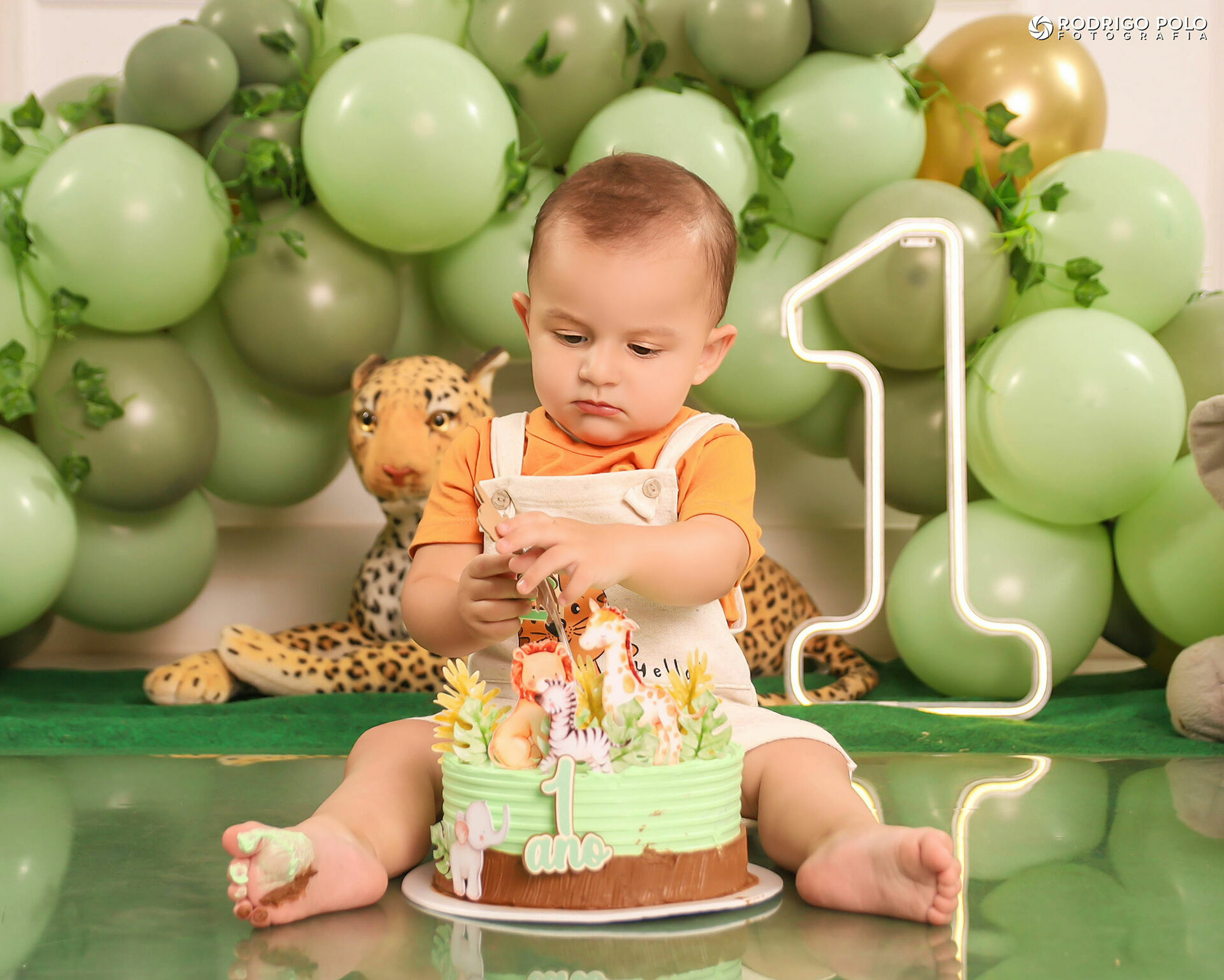 Foto Smash The Cake Bernardo - 1 Aninho Foto Smash The Cake Bernardo - 1 Aninho - Imagem 17