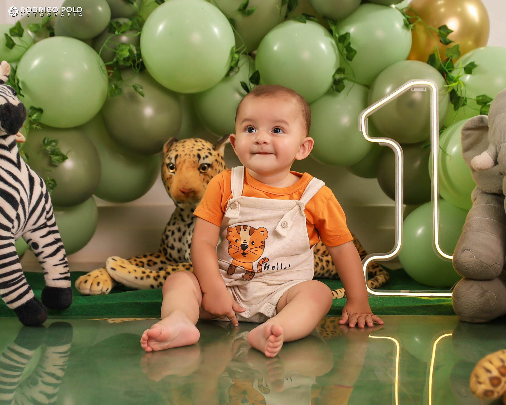 Foto Smash The Cake Bernardo - 1 Aninho Foto Smash The Cake Bernardo - 1 Aninho - Imagem 0