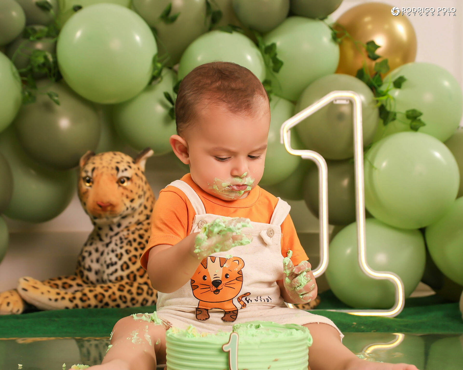 Foto Smash The Cake Bernardo - 1 Aninho Foto Smash The Cake Bernardo - 1 Aninho - Imagem 24