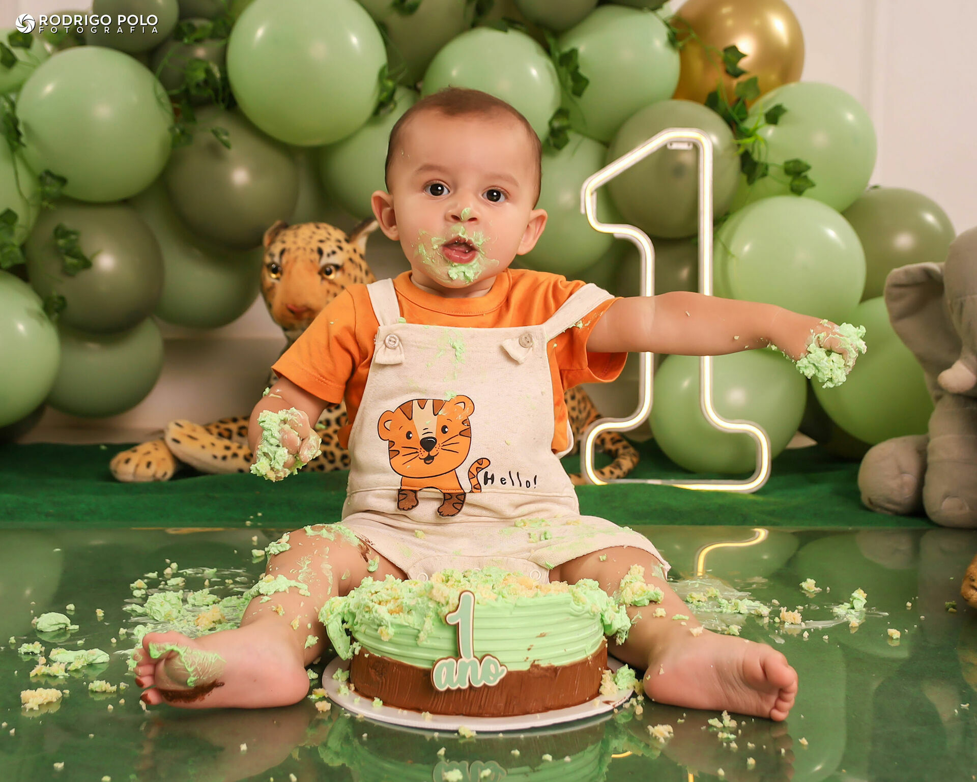 Foto Smash The Cake Bernardo - 1 Aninho Foto Smash The Cake Bernardo - 1 Aninho - Imagem 28