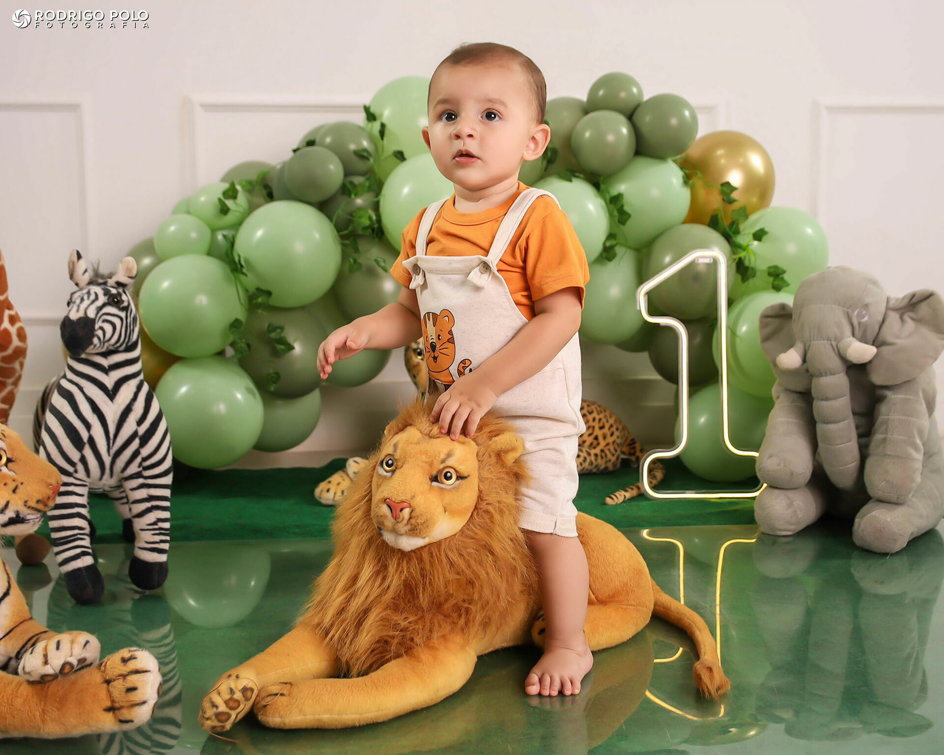 Foto Smash The Cake Bernardo - 1 Aninho Foto Smash The Cake Bernardo - 1 Aninho - Imagem 7