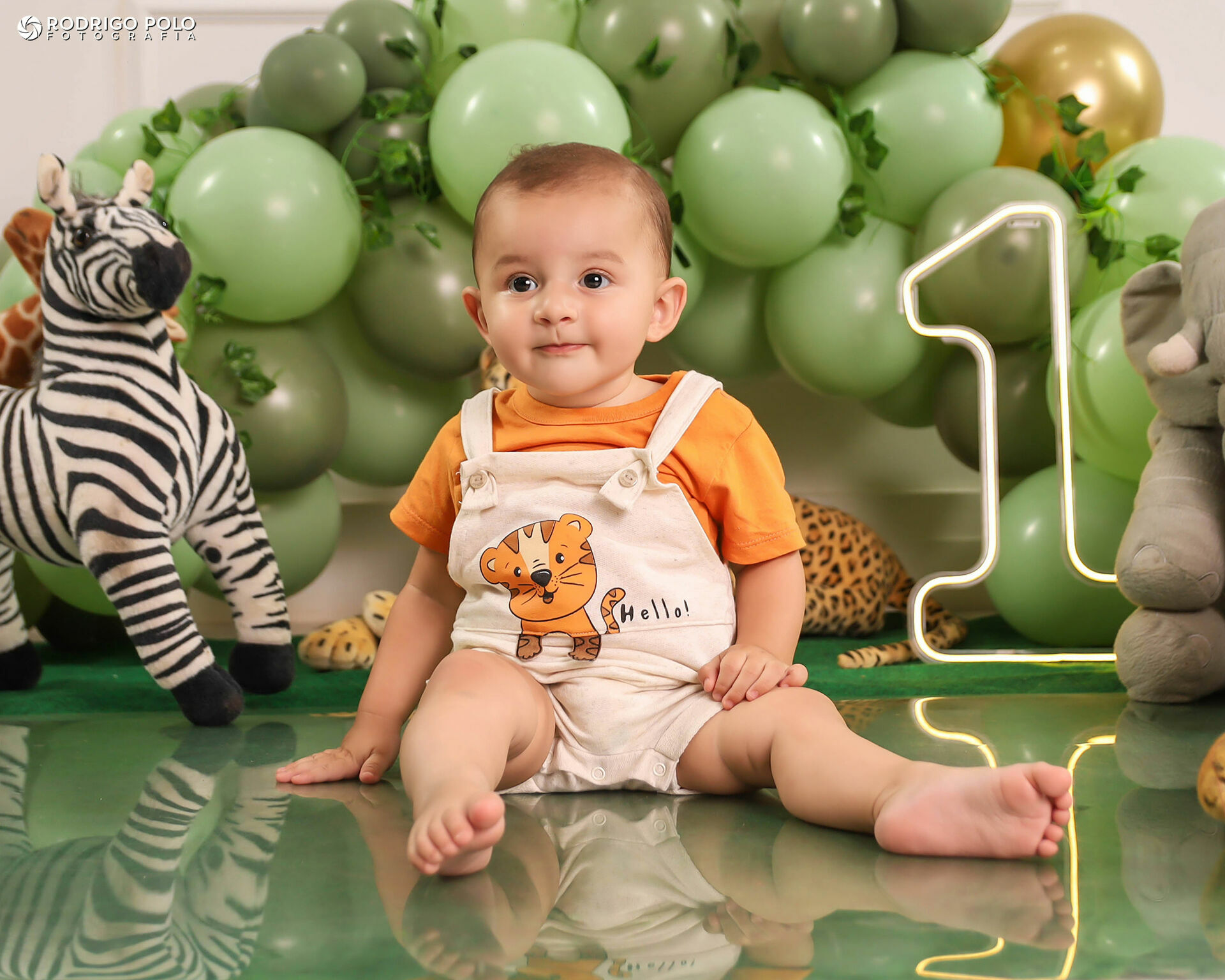 Foto Smash The Cake Bernardo - 1 Aninho Foto Smash The Cake Bernardo - 1 Aninho - Imagem 2