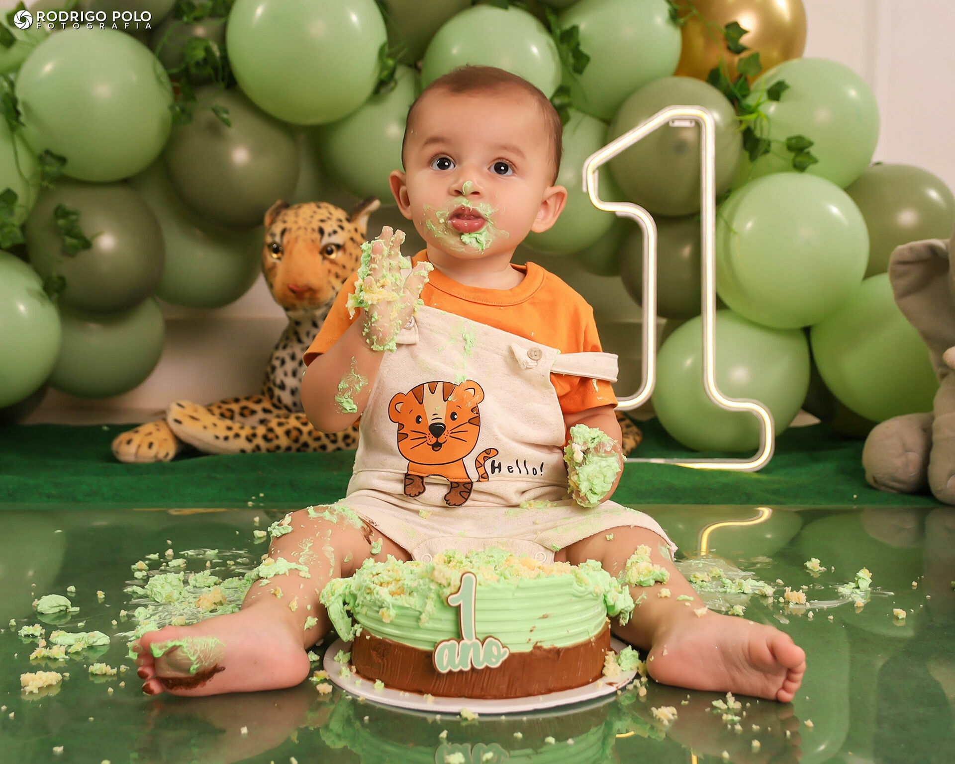 Foto Smash The Cake Bernardo - 1 Aninho Foto Smash The Cake Bernardo - 1 Aninho - Imagem 27