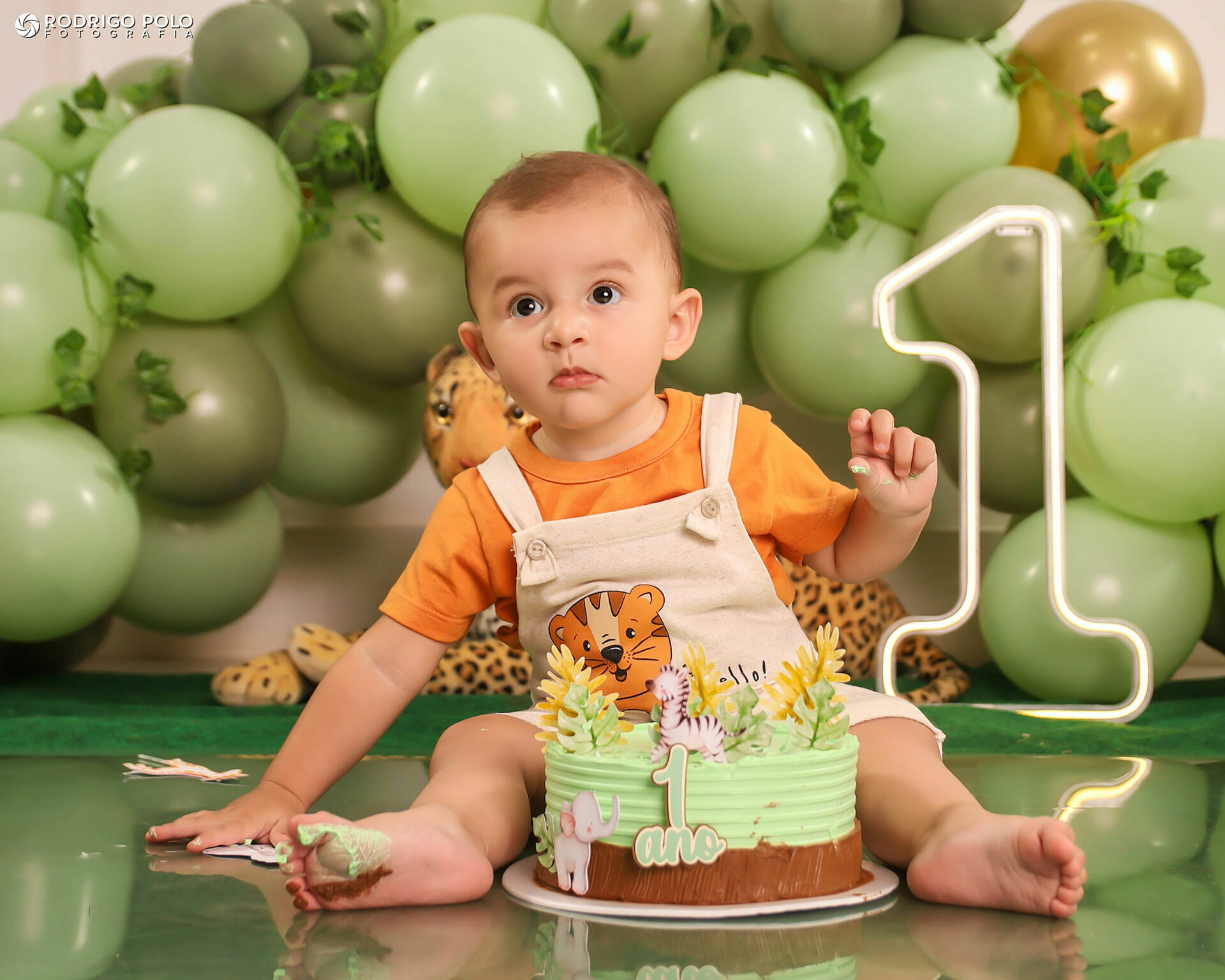 Foto Smash The Cake Bernardo - 1 Aninho Foto Smash The Cake Bernardo - 1 Aninho - Imagem 19